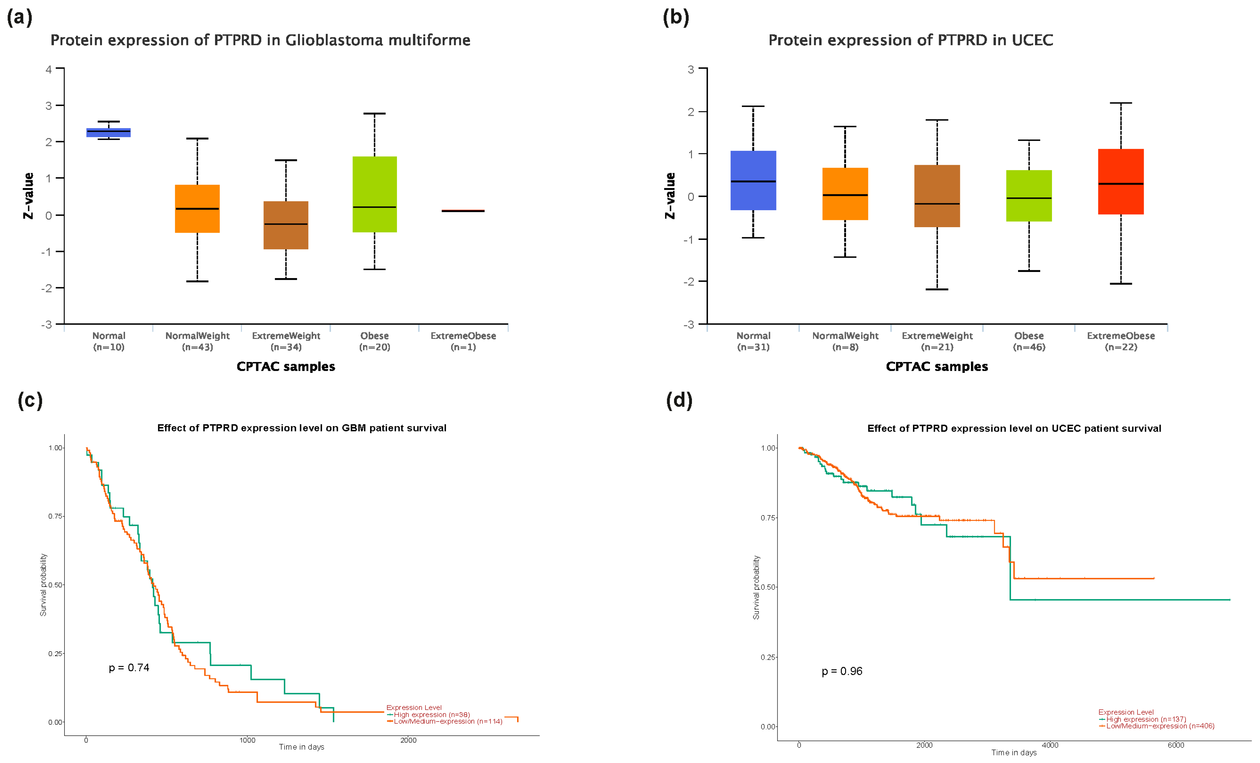 Cancers 16 00582 g004