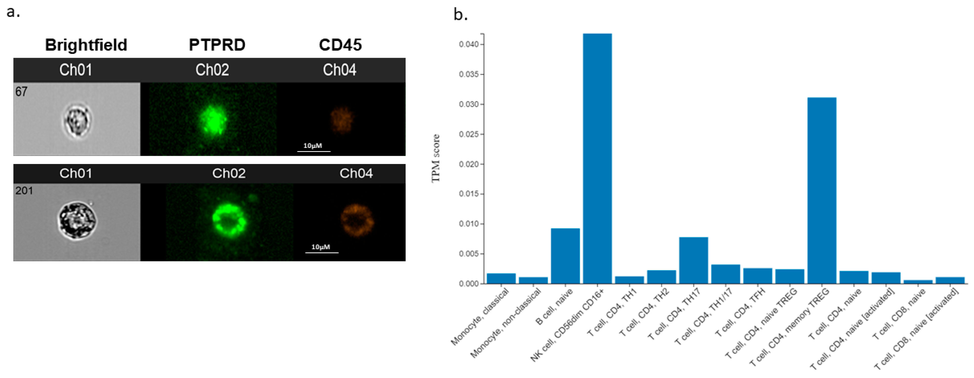 Cancers 16 00582 g008