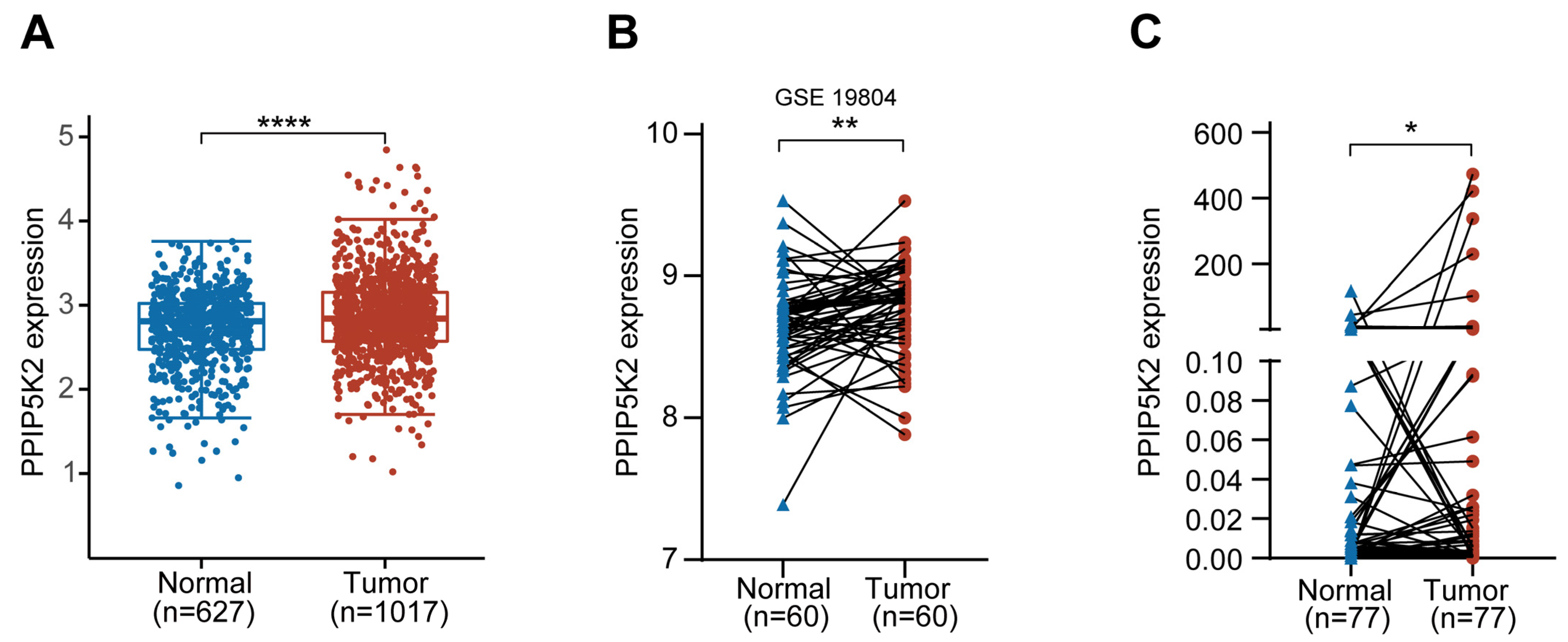 Cancers 16 00590 g001