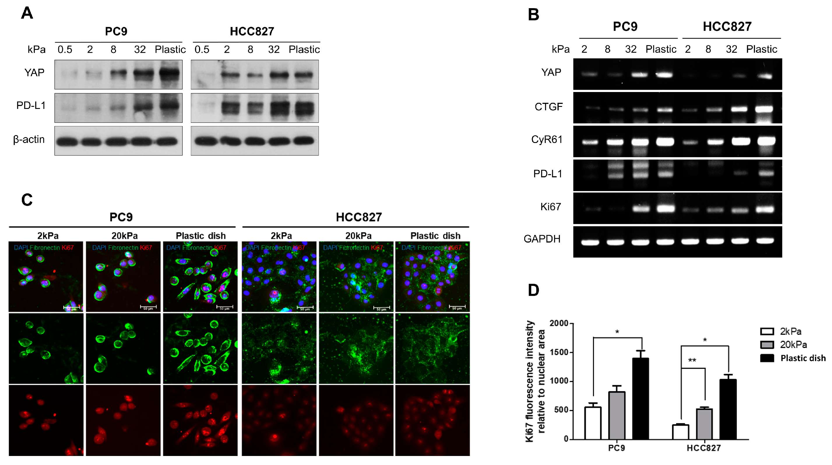 Cancers 16 00598 g001