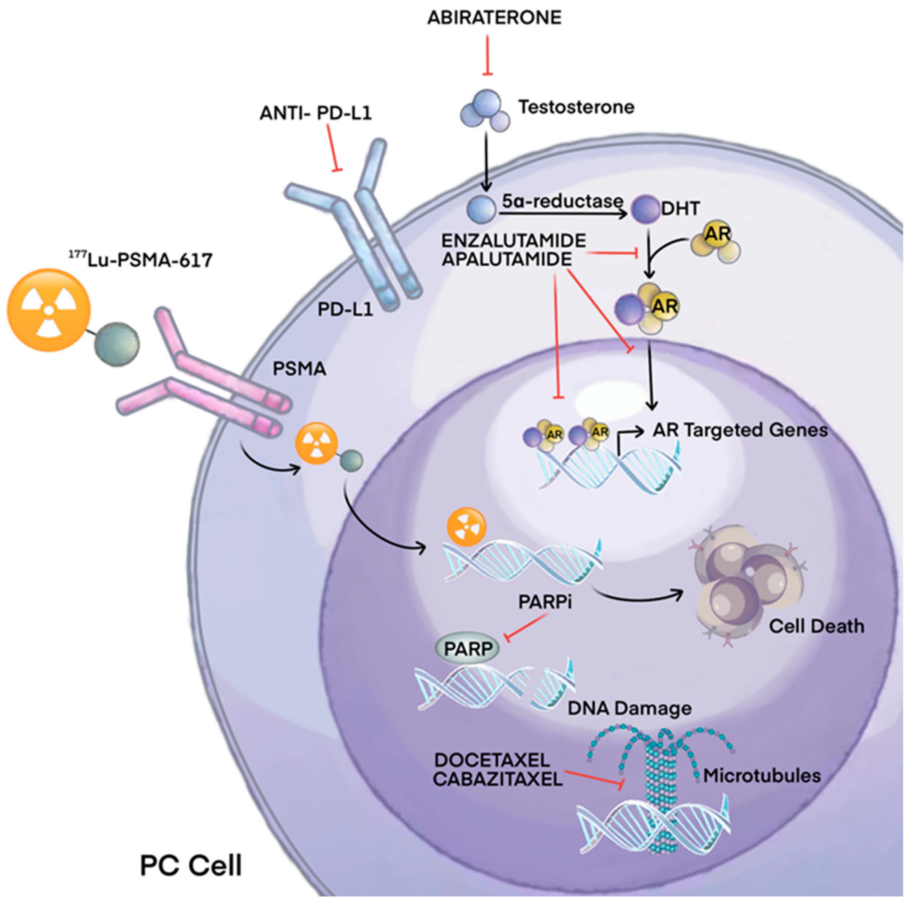 Cancers 16 00627 g001 Cancers 16 00627 g001