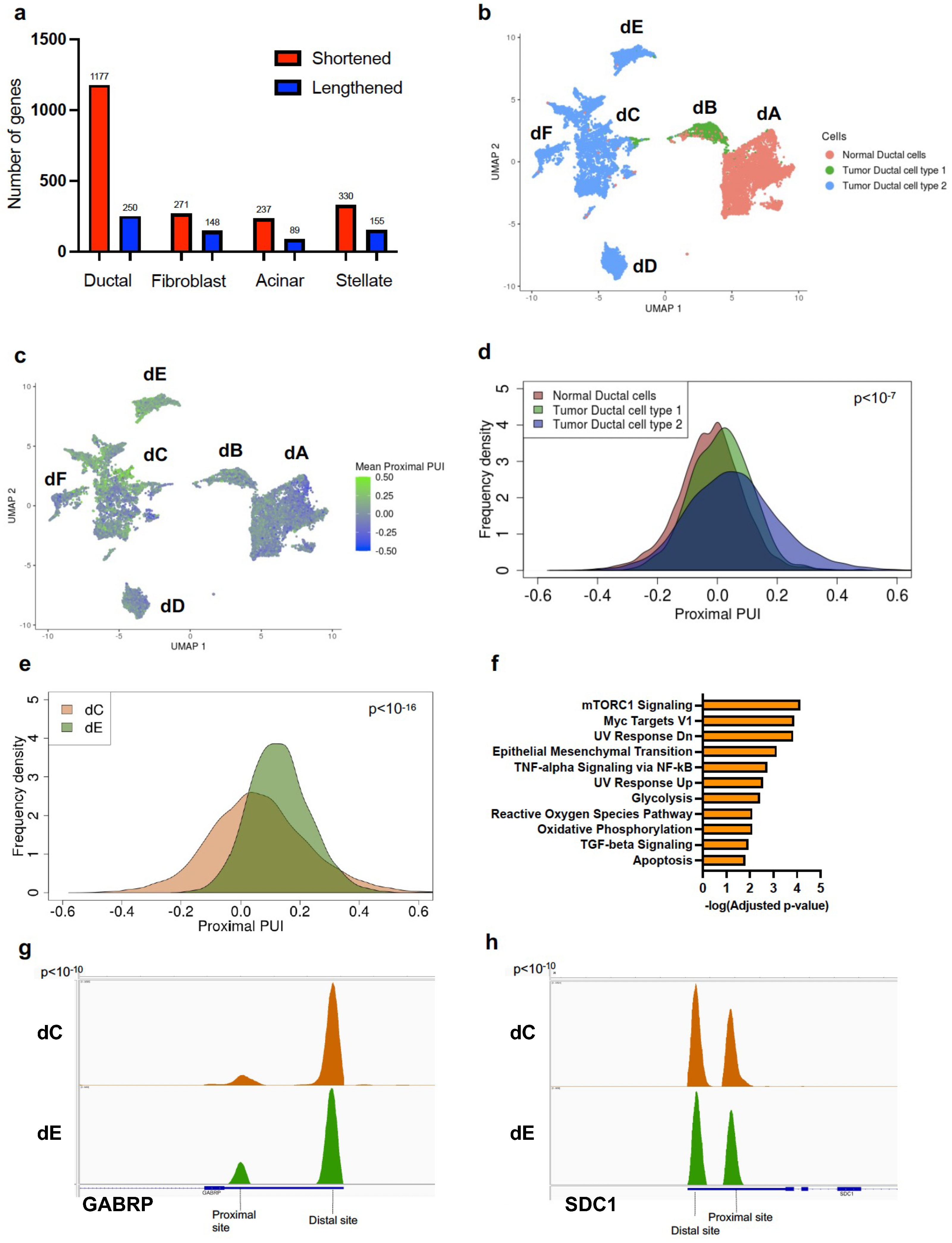 Cancers 16 00640 g001
