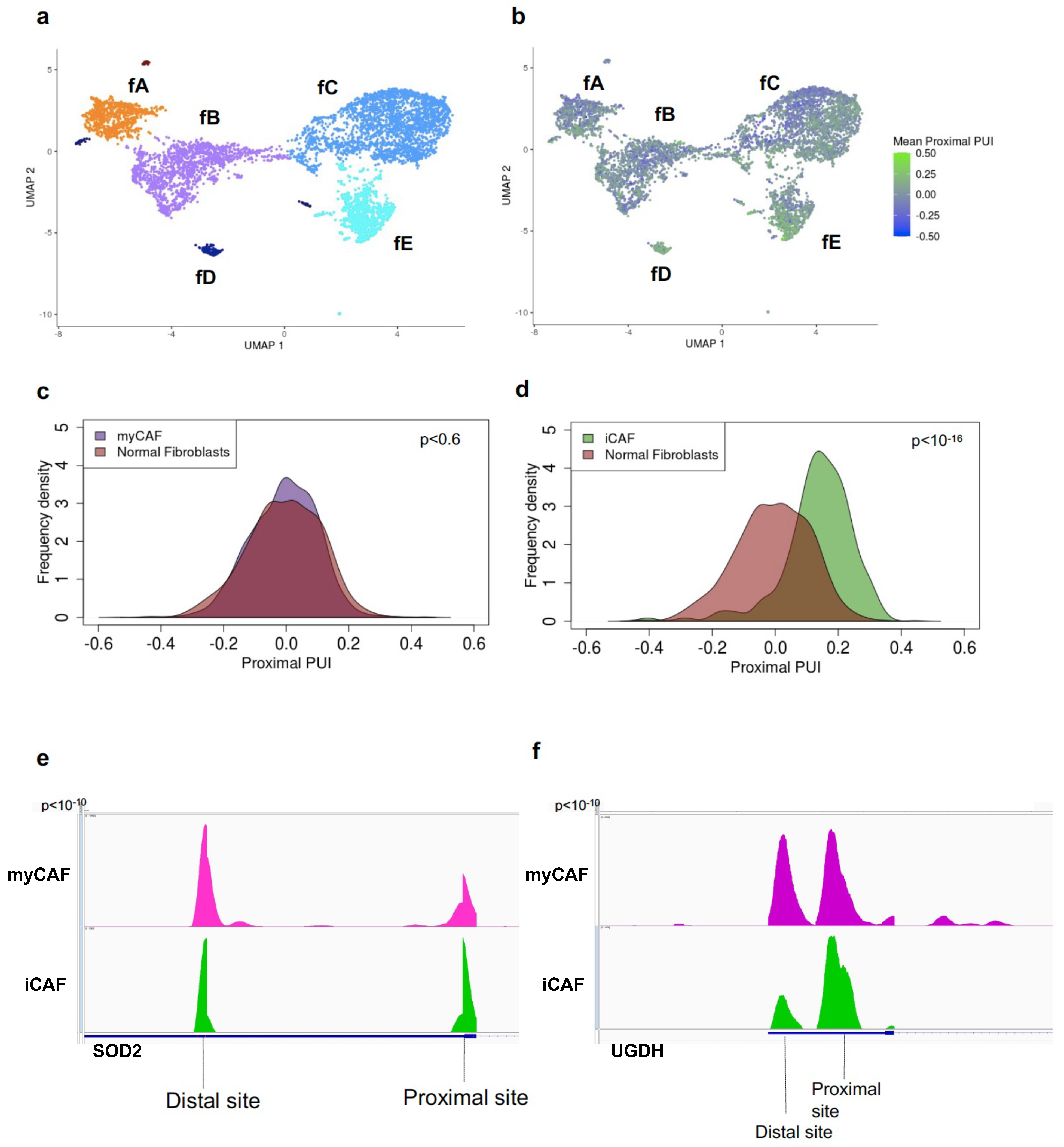 Cancers 16 00640 g002