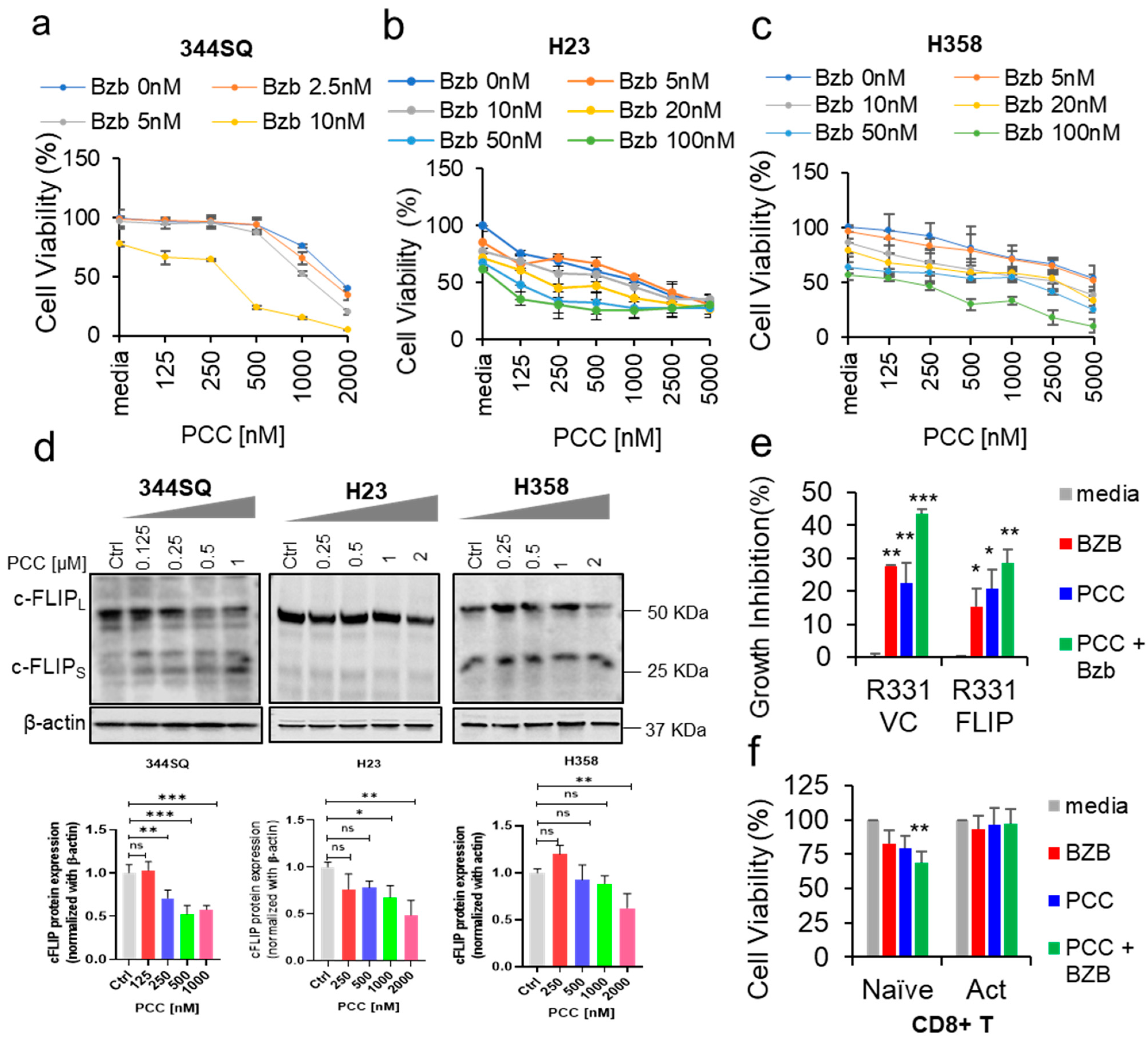 Cancers 16 00670 g001