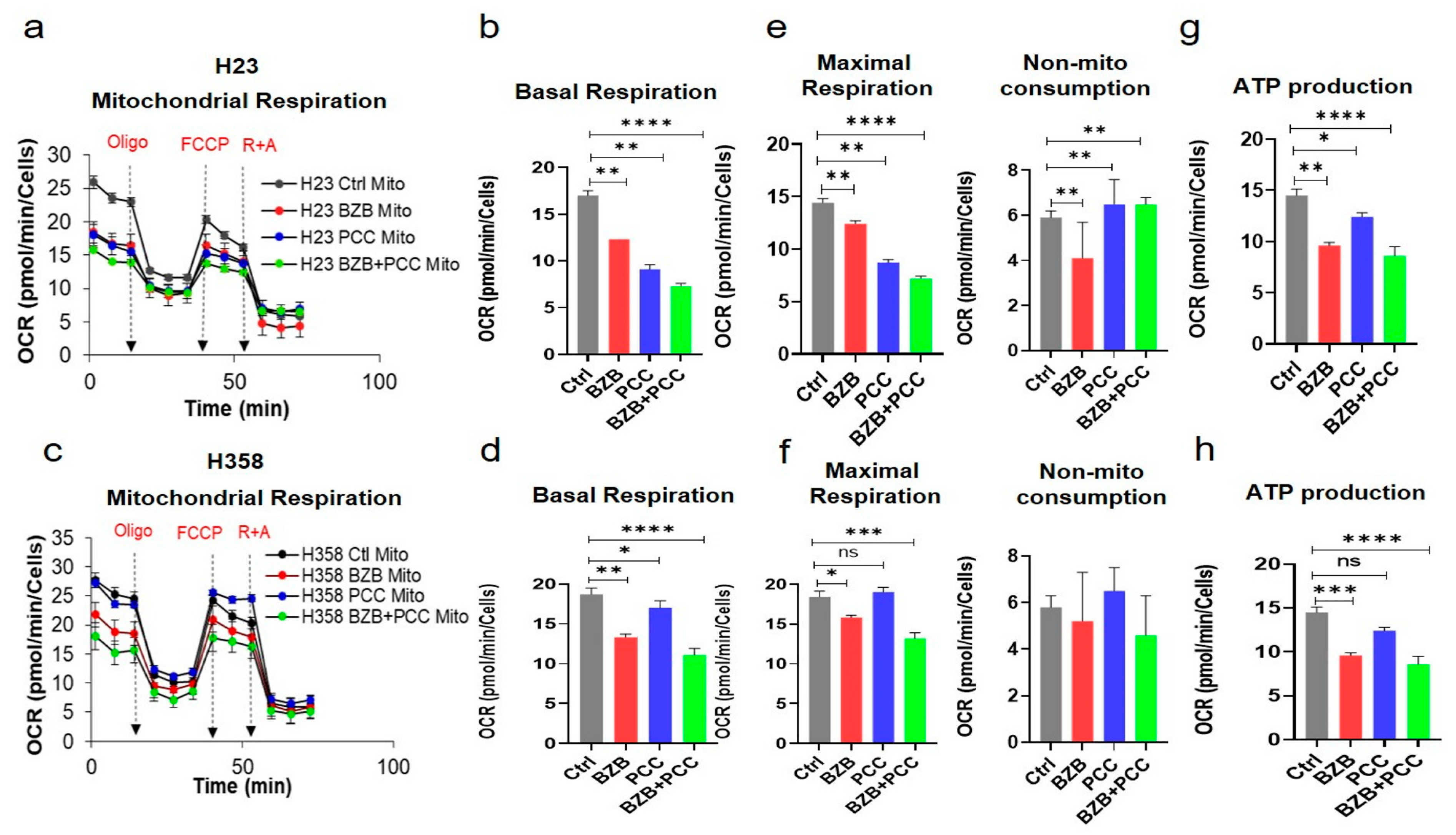 Cancers 16 00670 g004