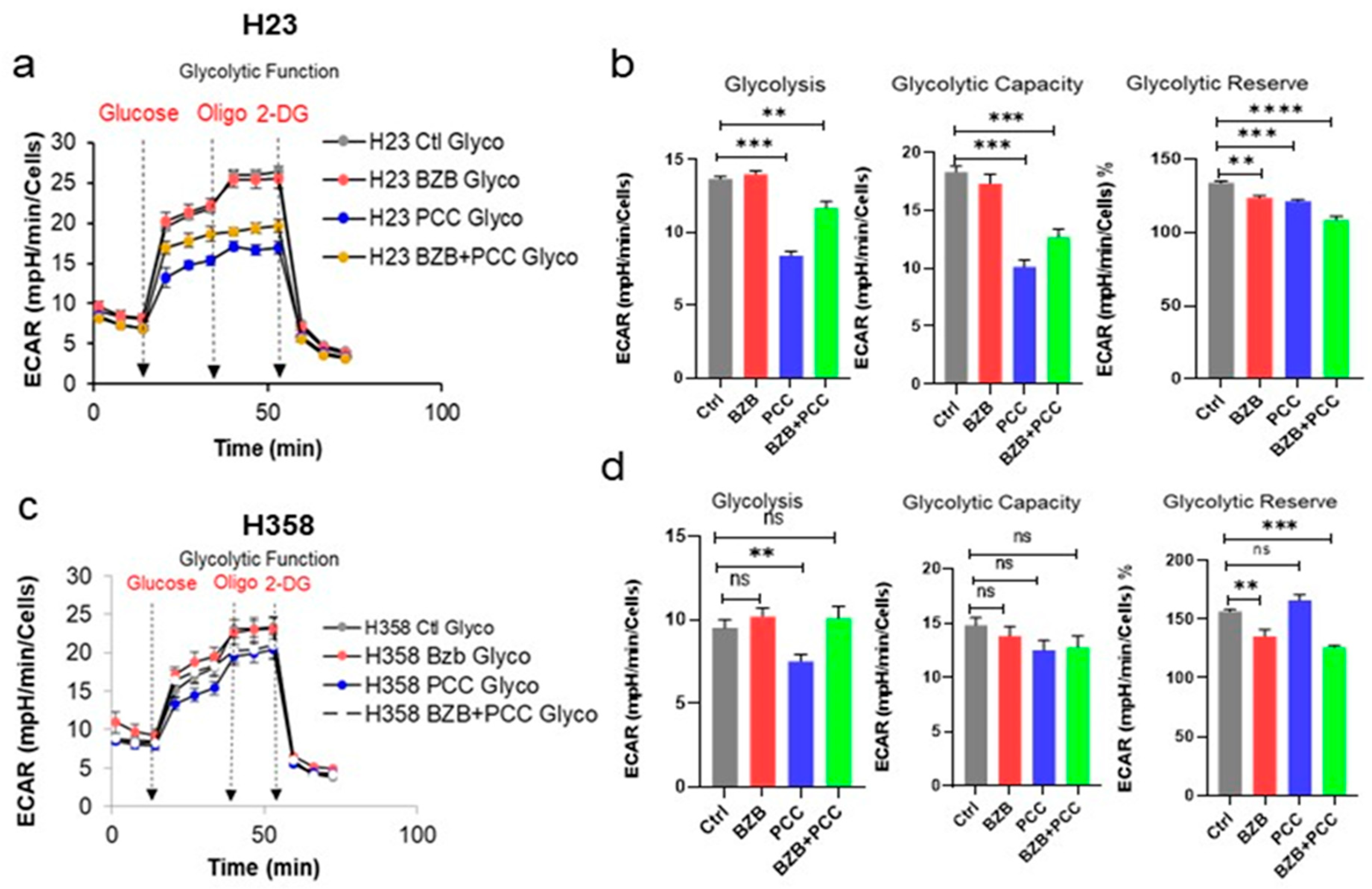 Cancers 16 00670 g005