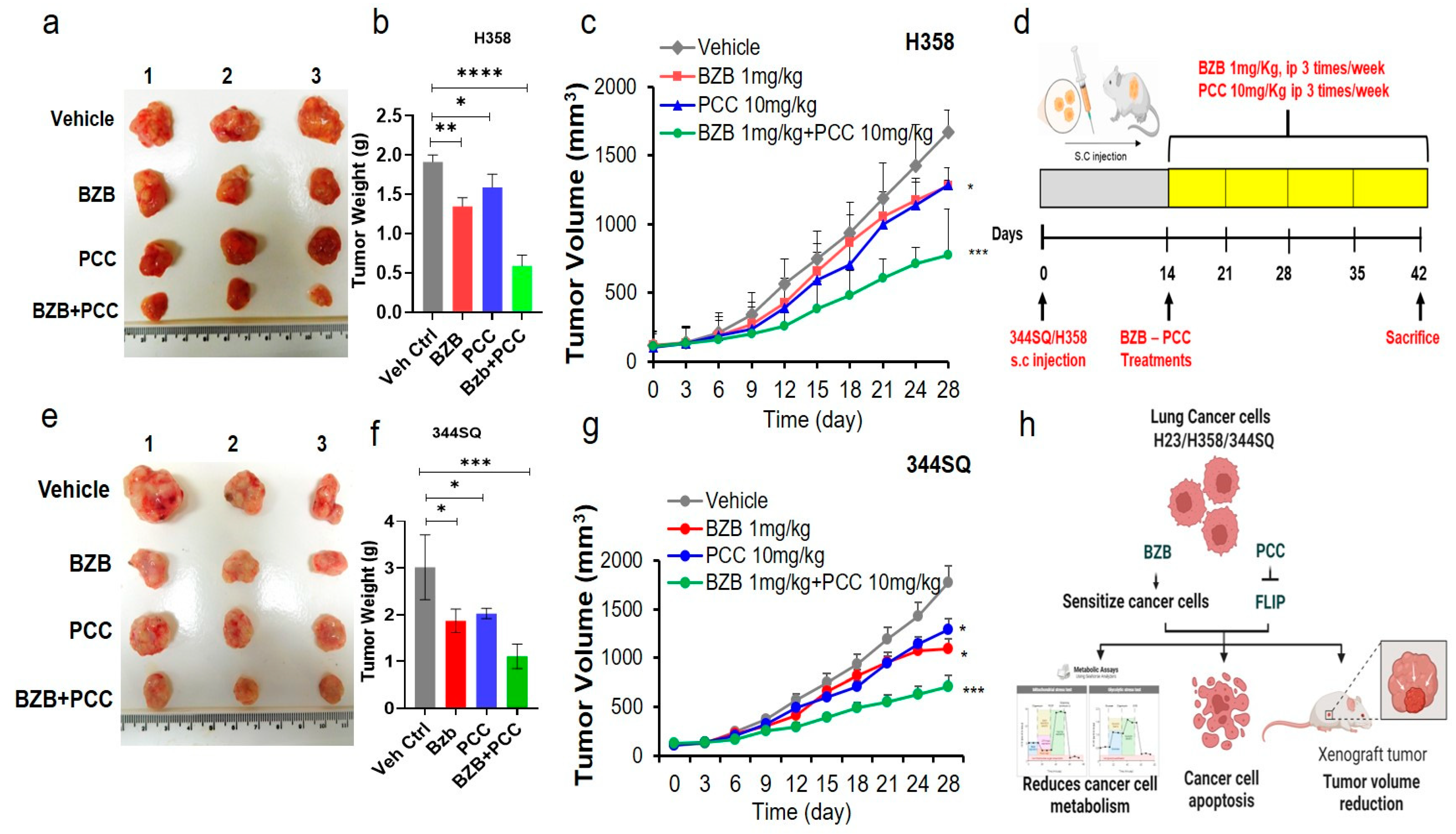 Cancers 16 00670 g006