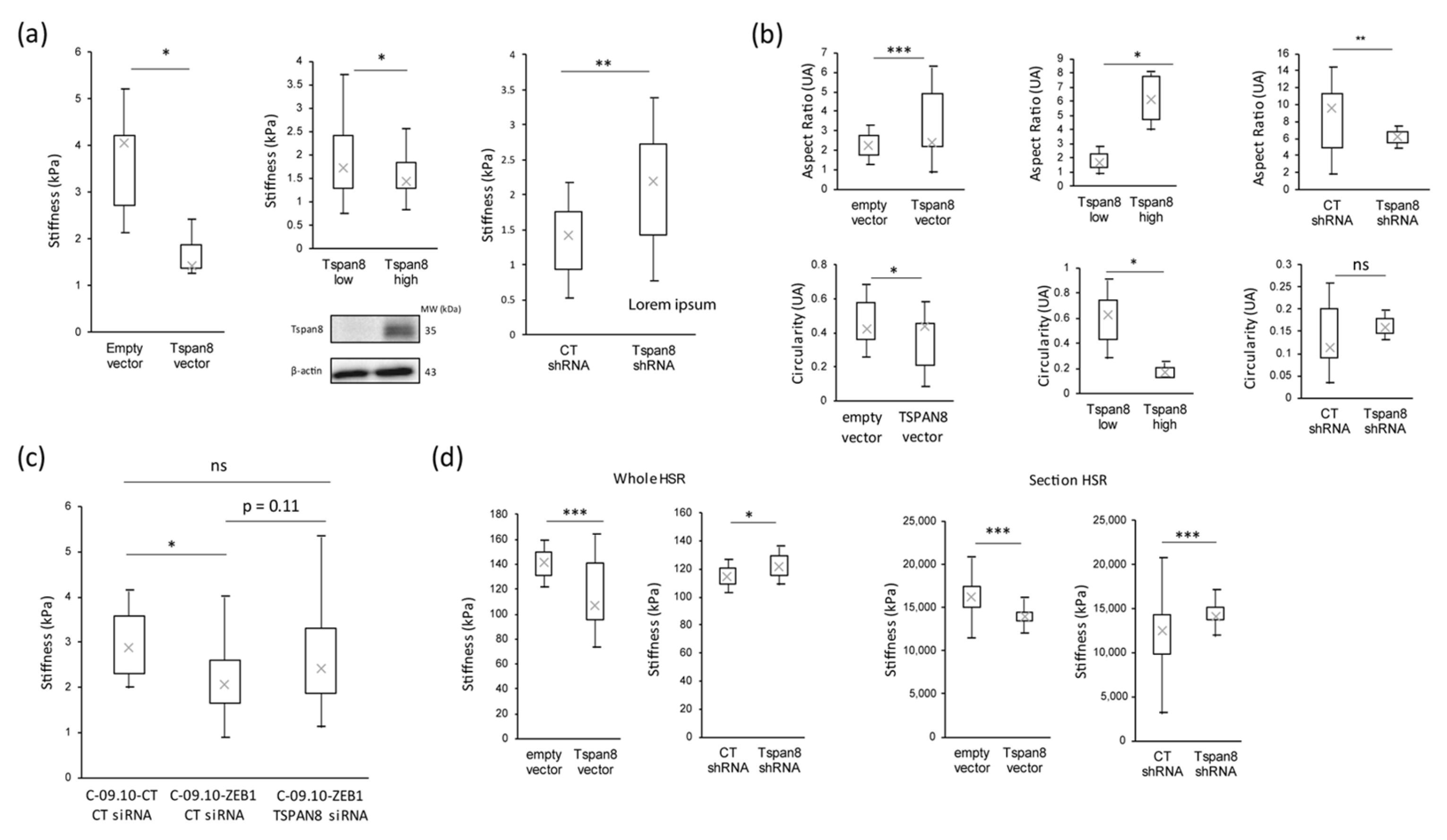 Cancers 16 00694 g004