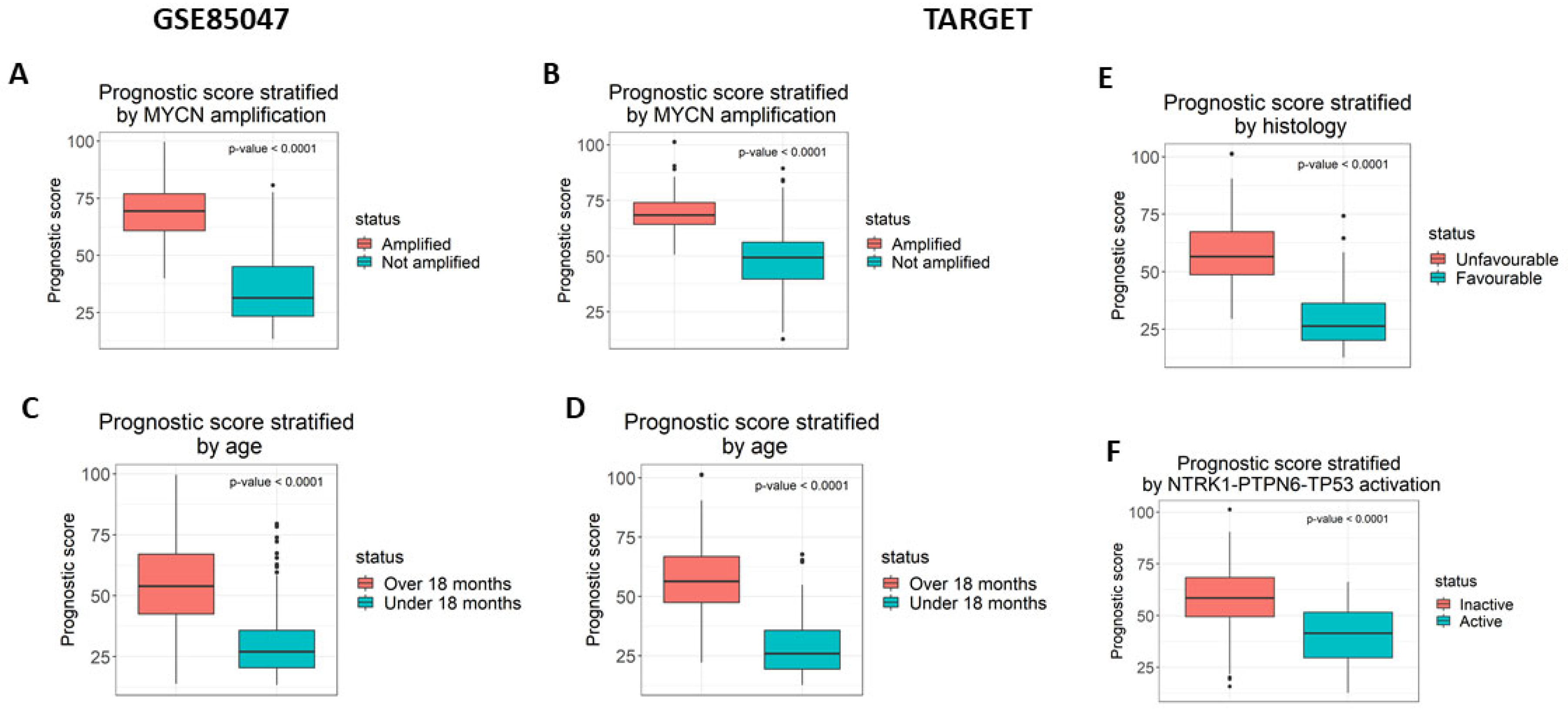 Cancers 16 00722 g002