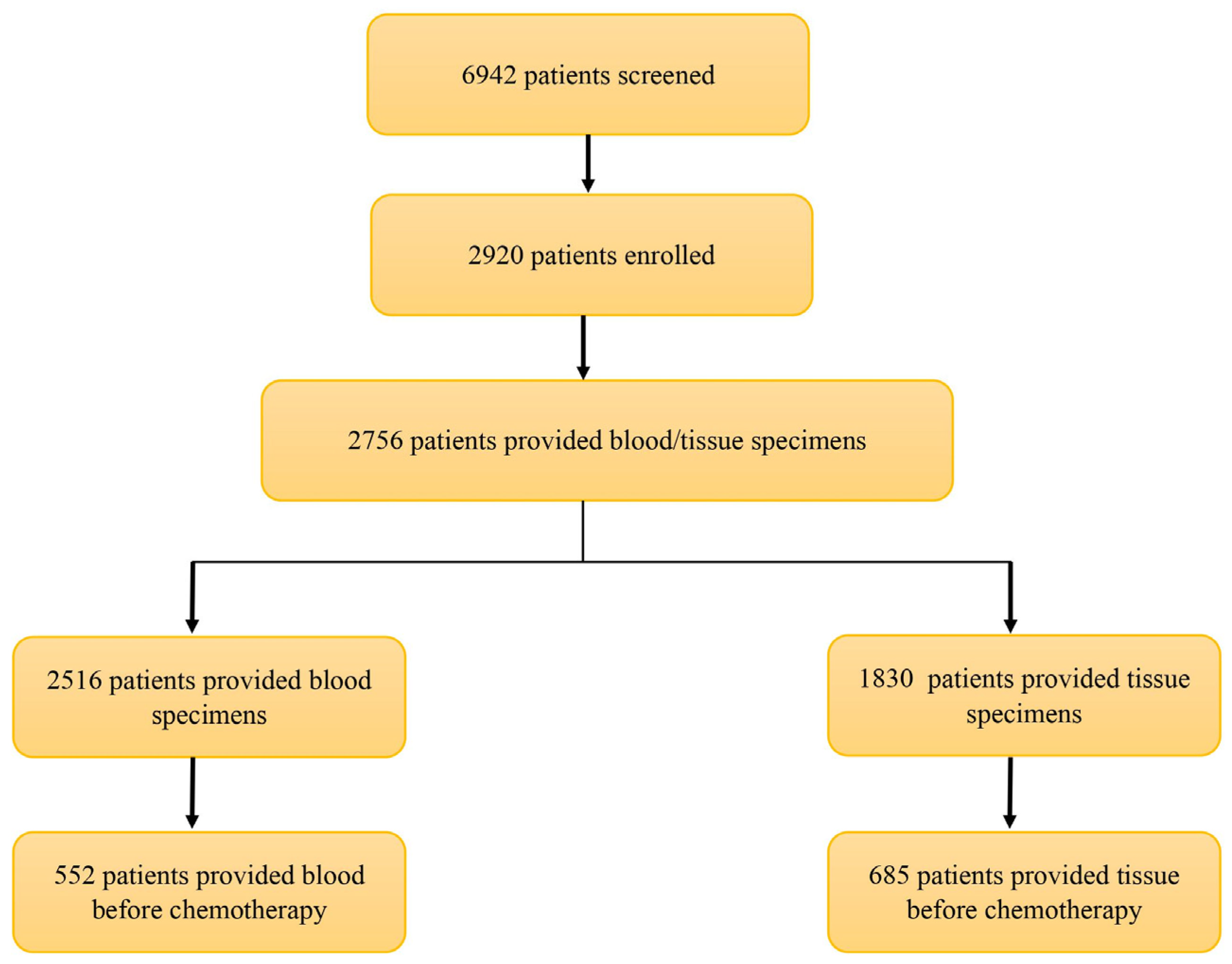 Cancers 16 00760 g004