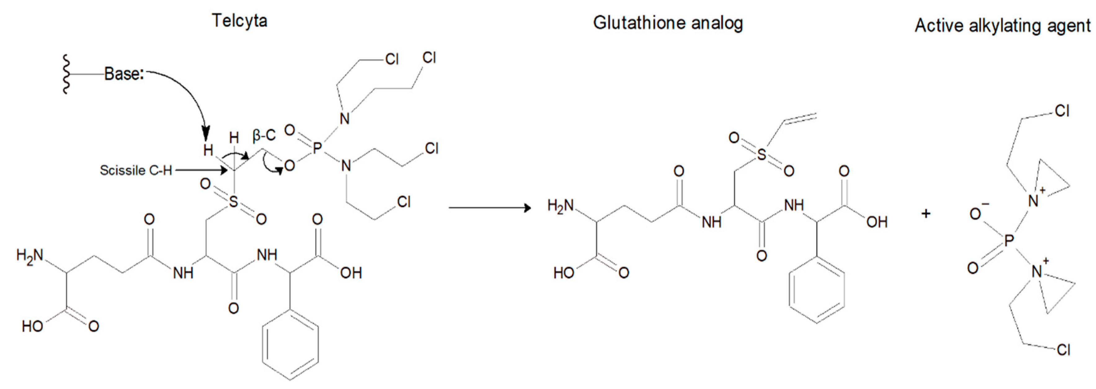Cancers 16 00762 g001 Cancers 16 00762 g001