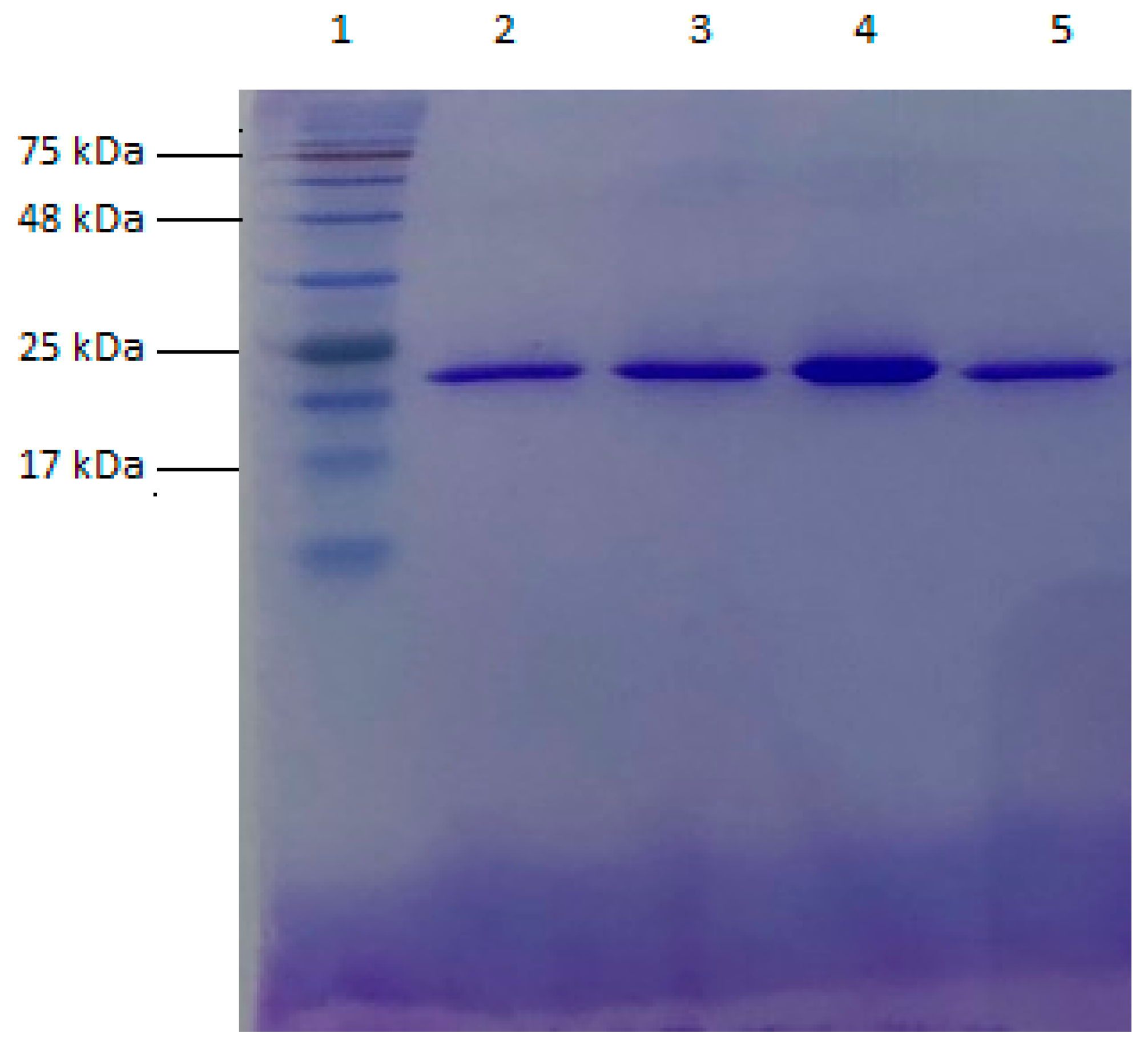 Cancers 16 00762 g002 Cancers 16 00762 g002