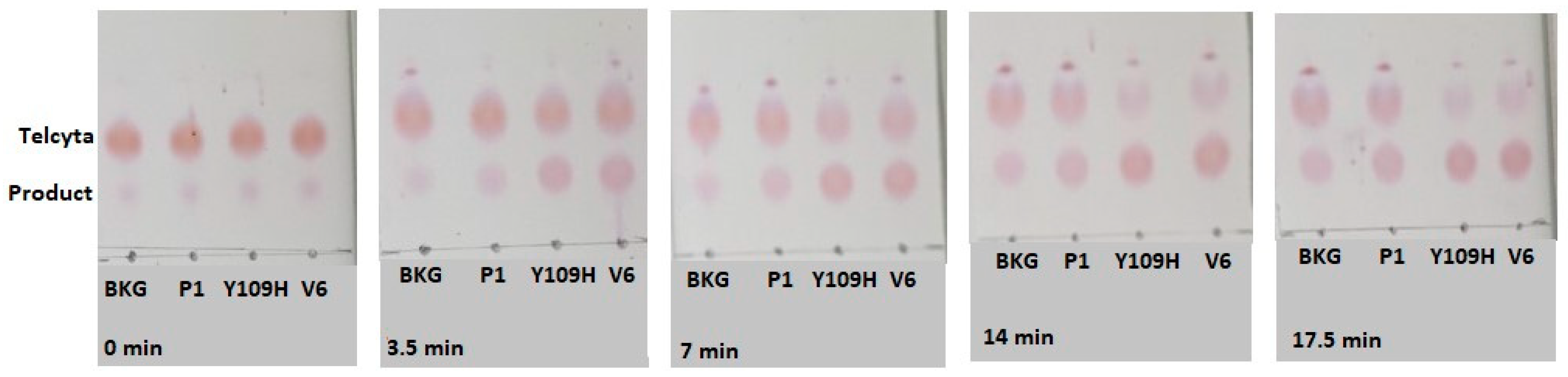 Cancers 16 00762 g004 Cancers 16 00762 g004