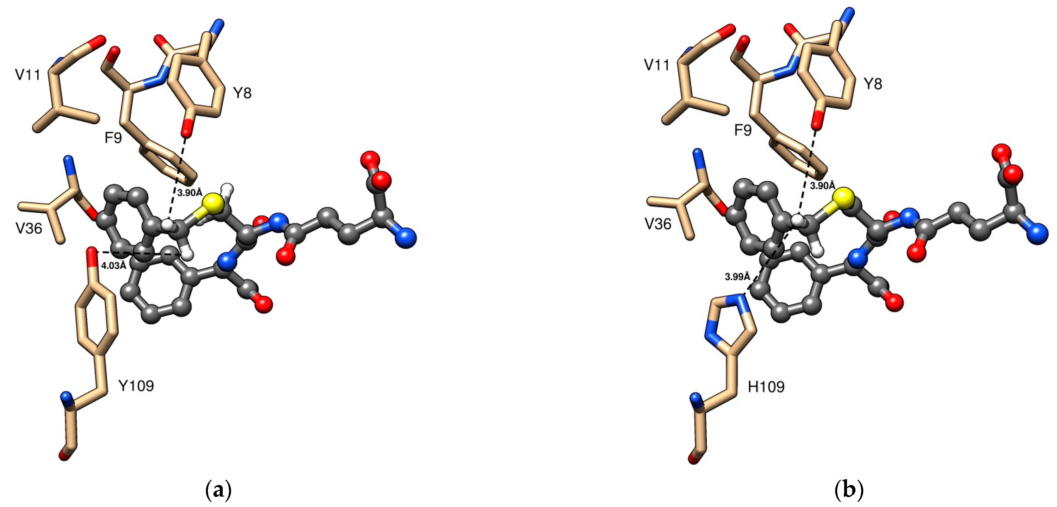 Cancers 16 00762 g006 Cancers 16 00762 g006