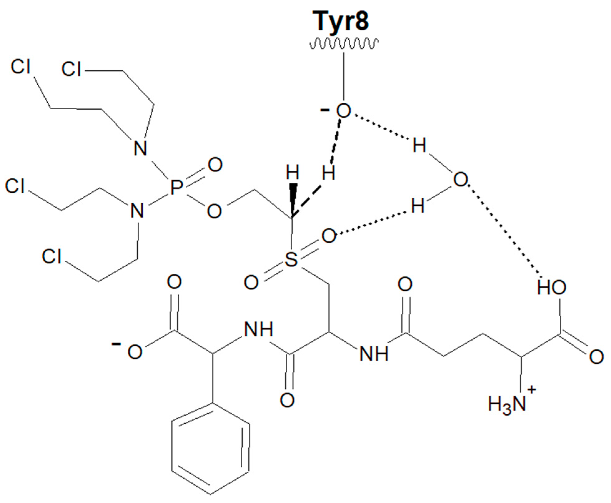 Cancers 16 00762 g009 Cancers 16 00762 g009