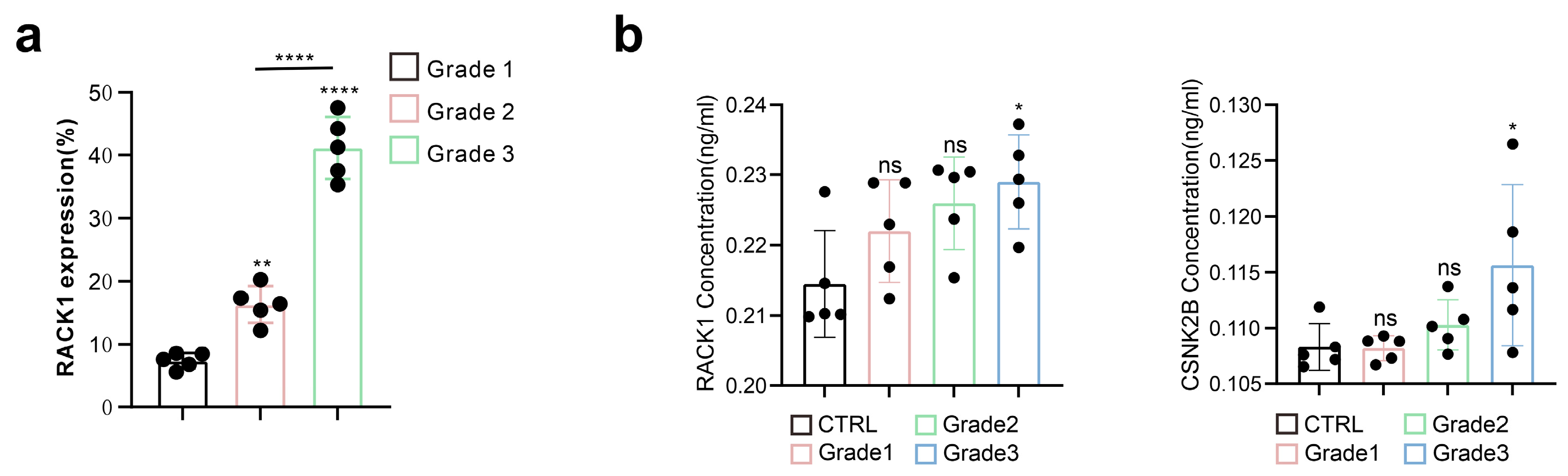 Cancers 16 00767 g001