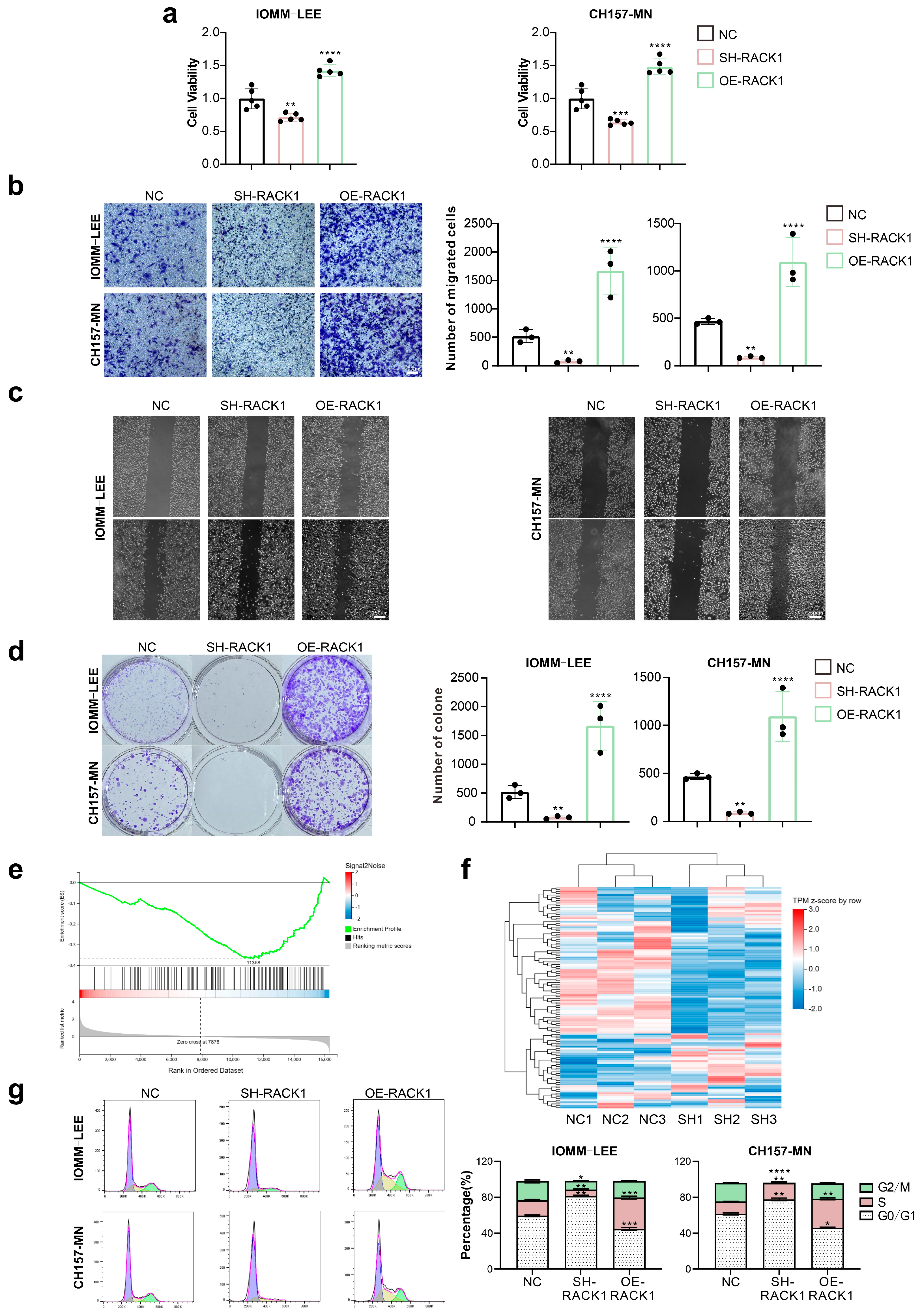 Cancers 16 00767 g002