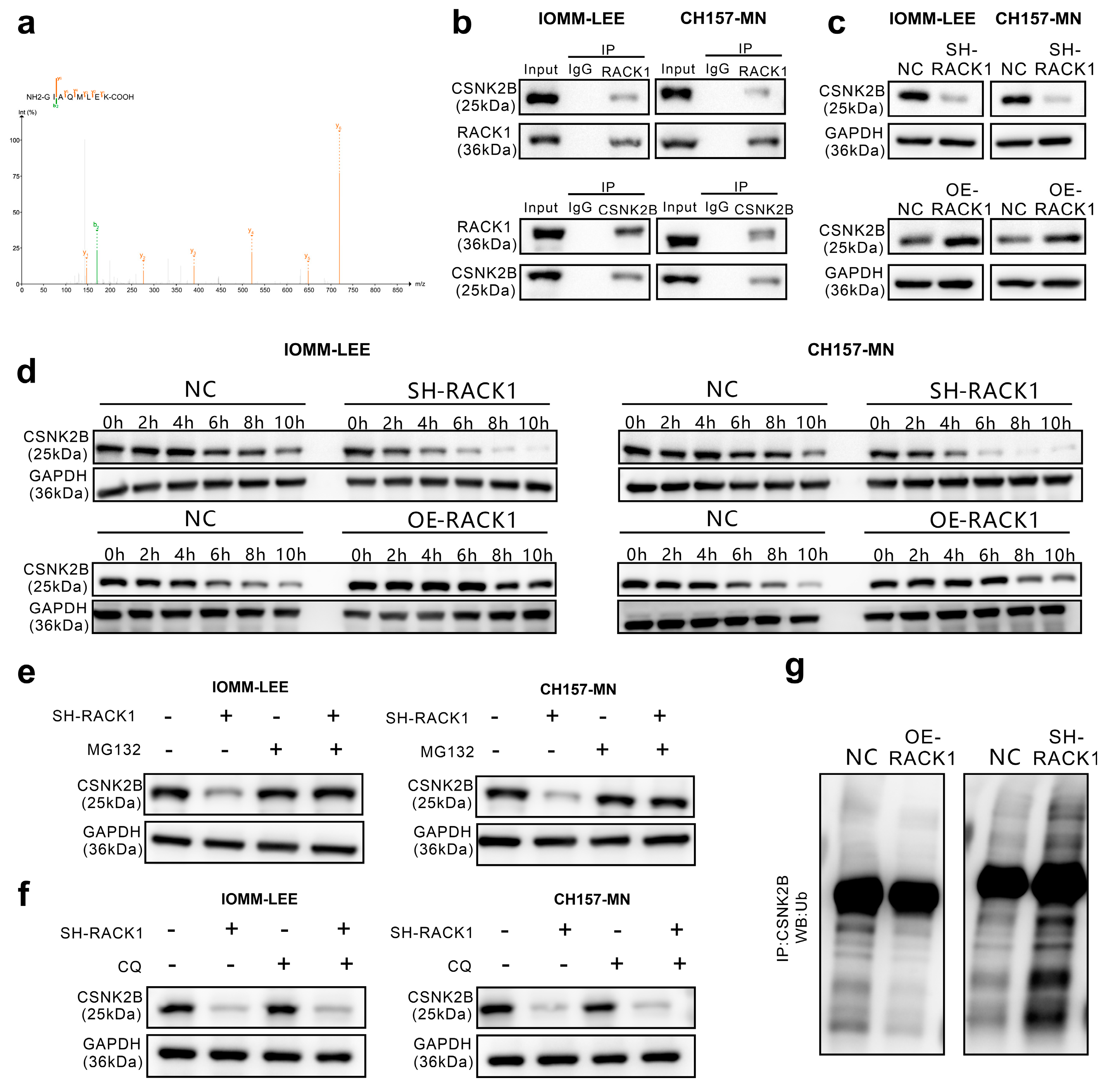Cancers 16 00767 g003