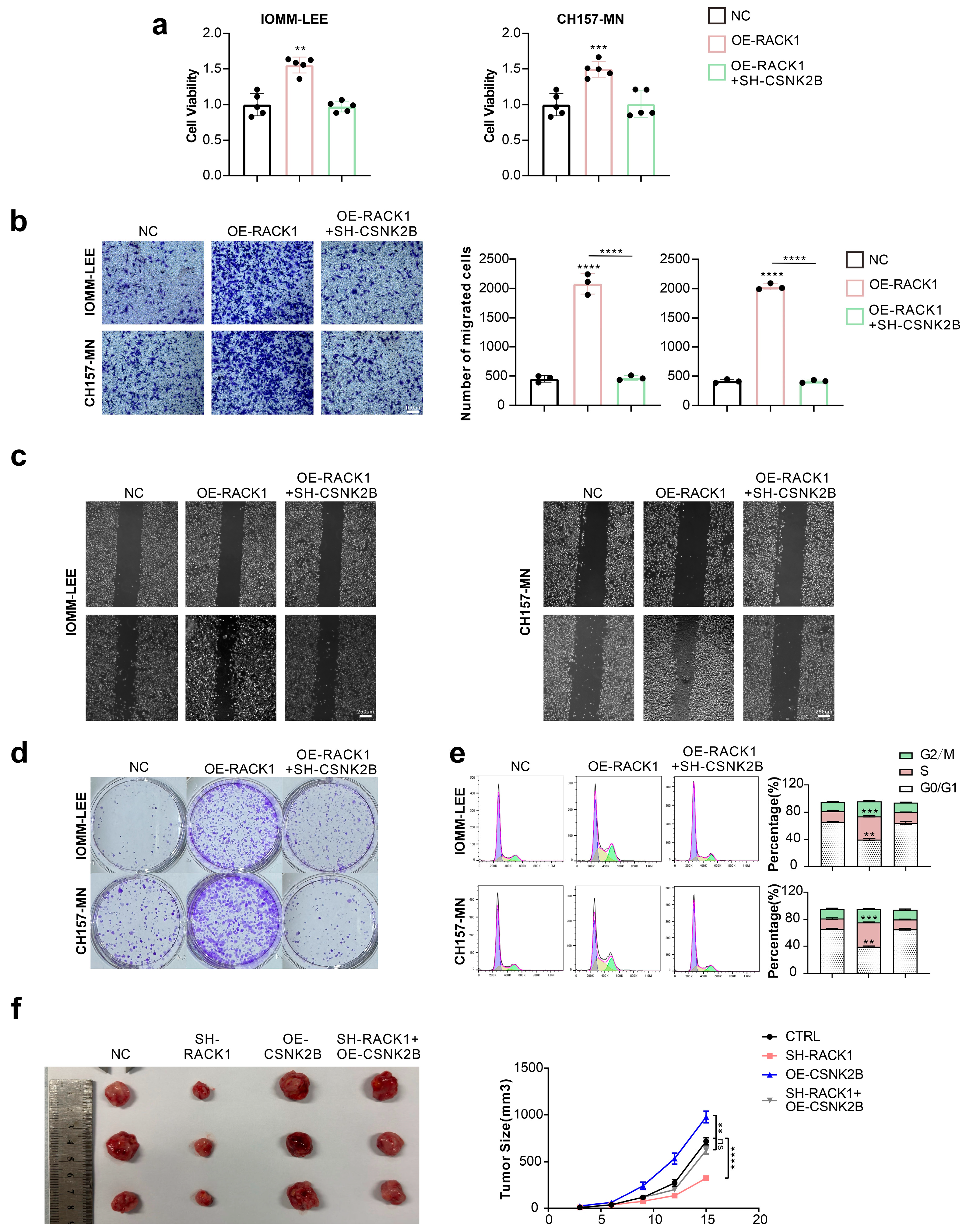 Cancers 16 00767 g004