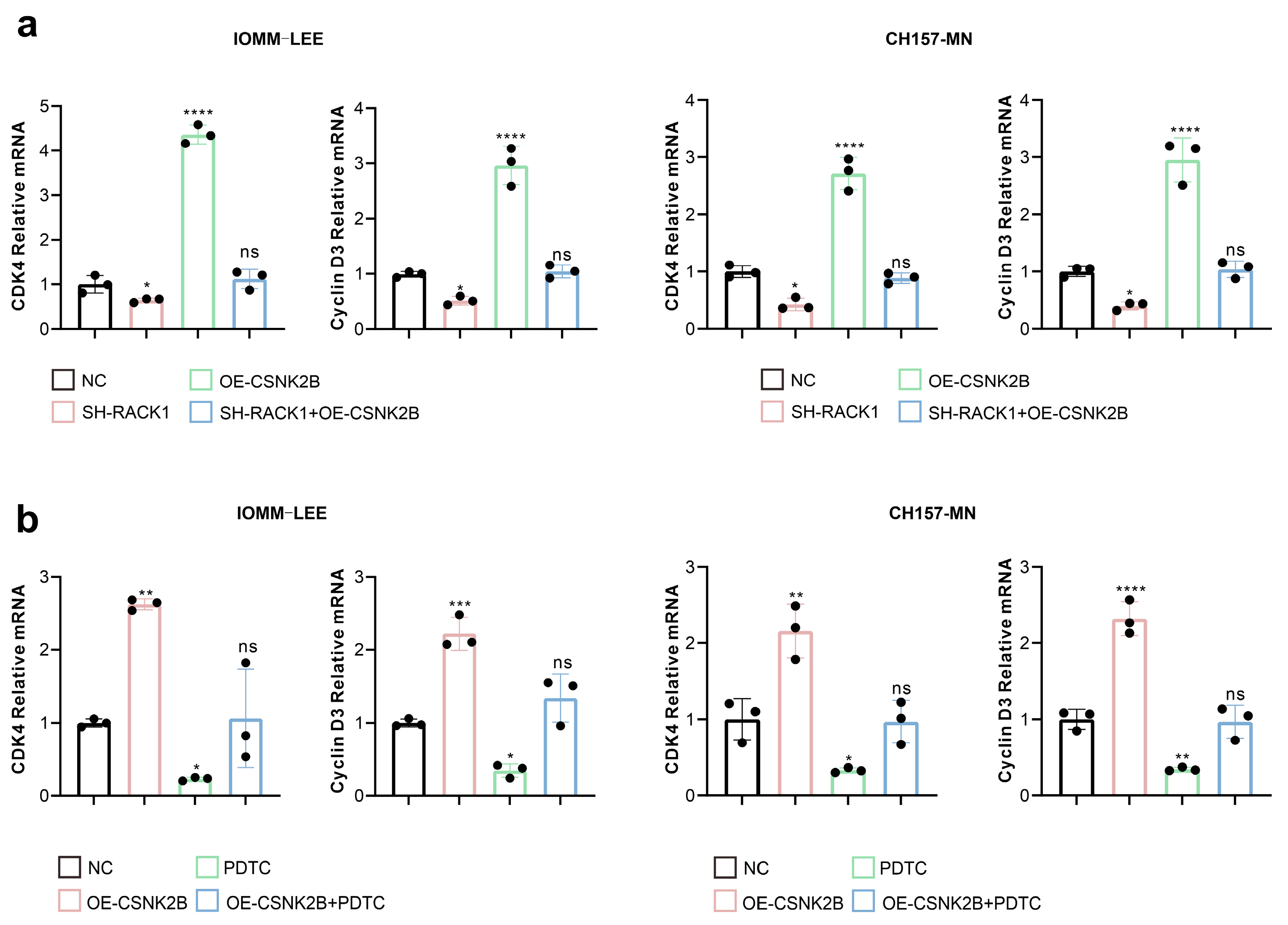Cancers 16 00767 g006