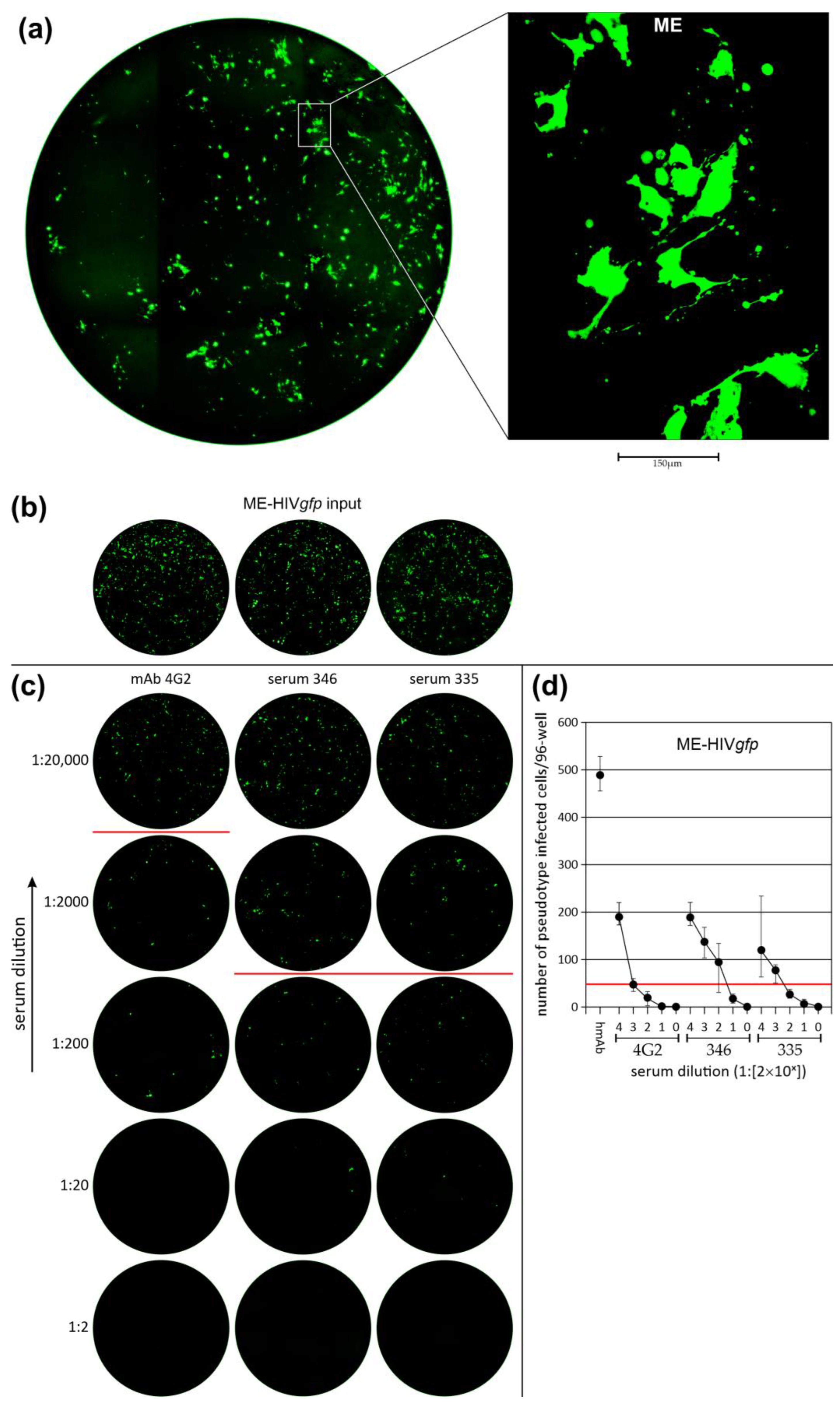 Cancers 16 00814 g004a