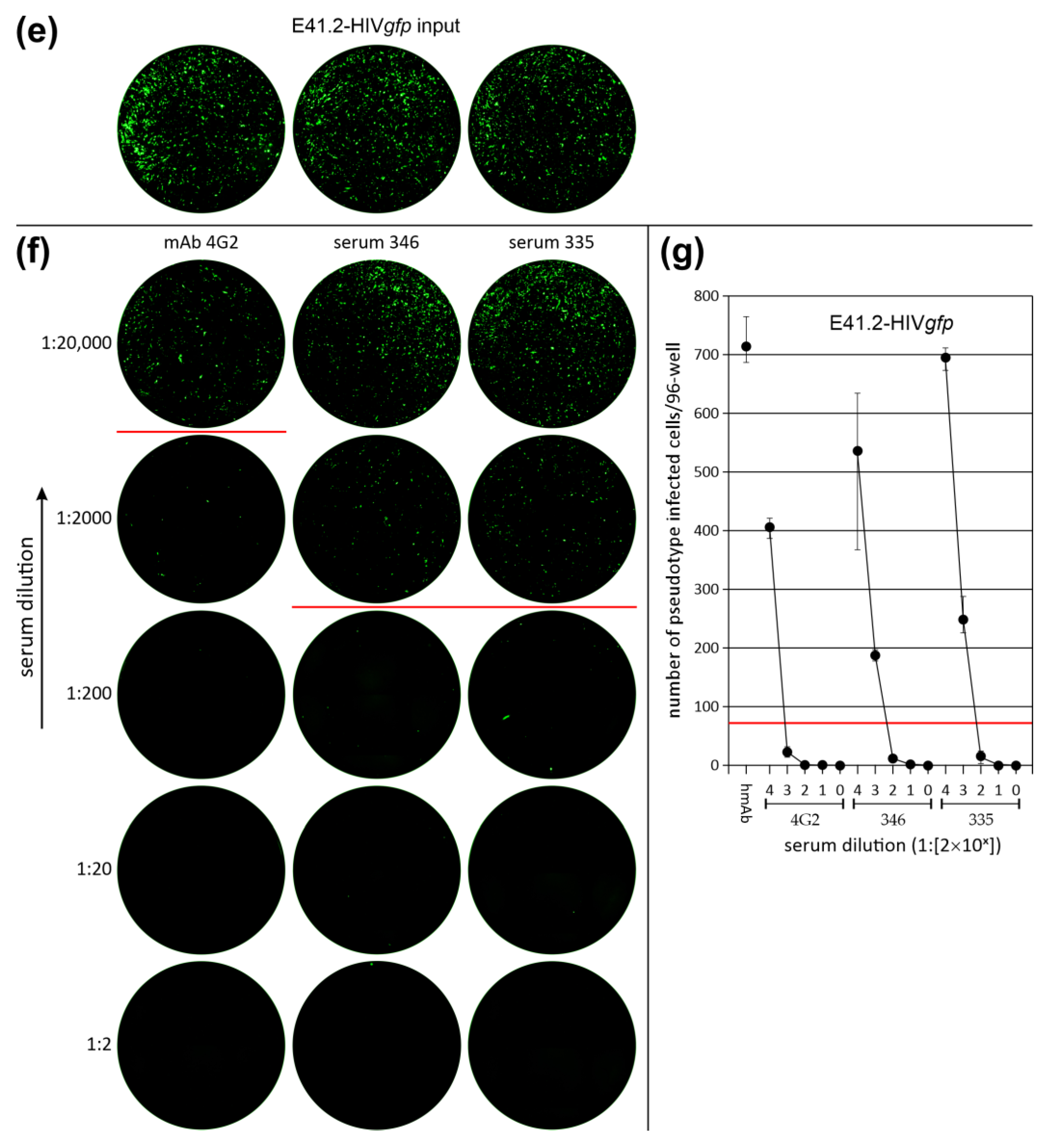 Cancers 16 00814 g004b