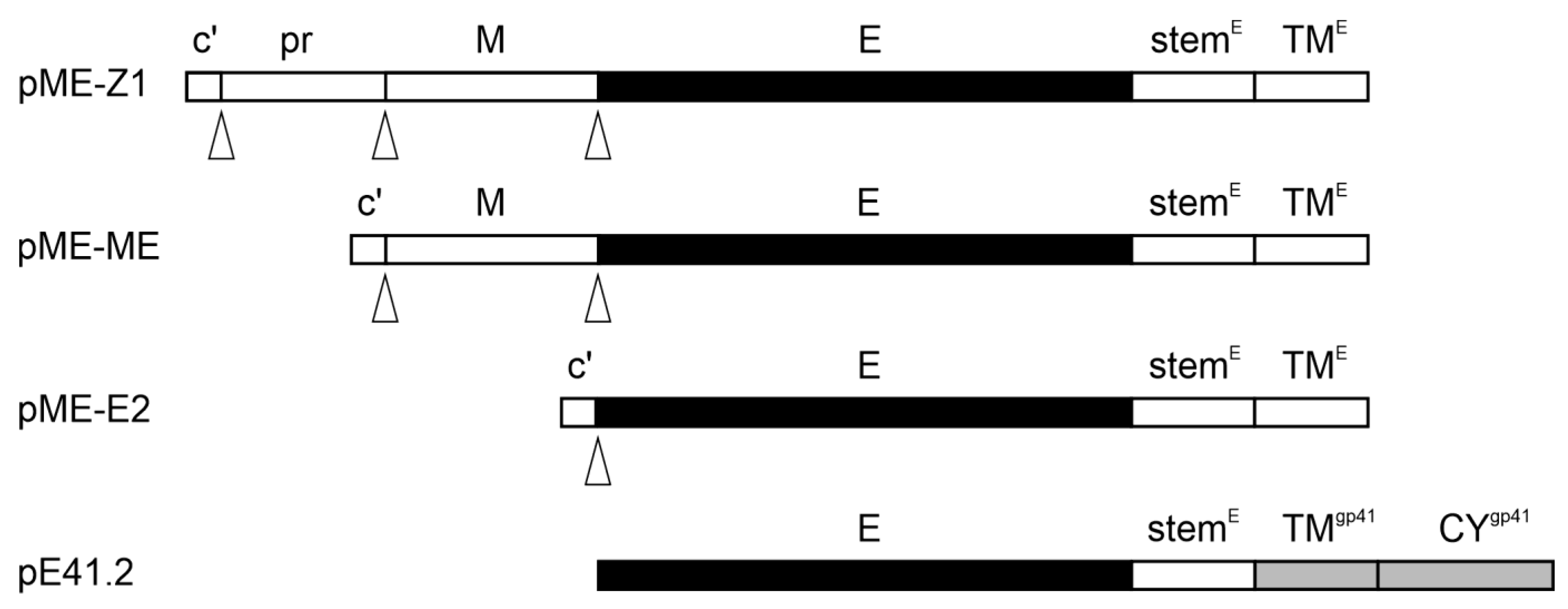 Cancers 16 00814 g0a1