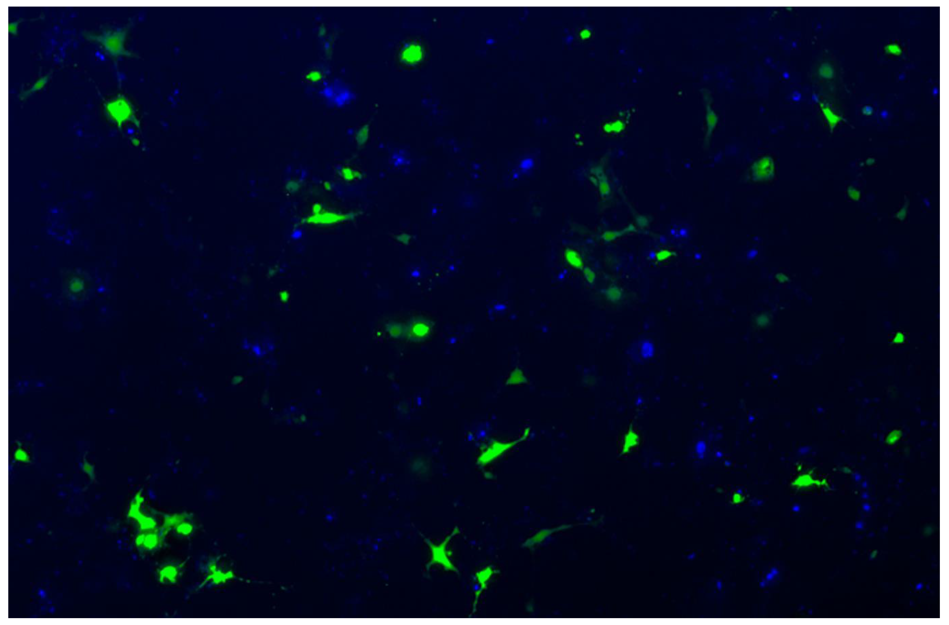 Cancers 16 00814 g0a2