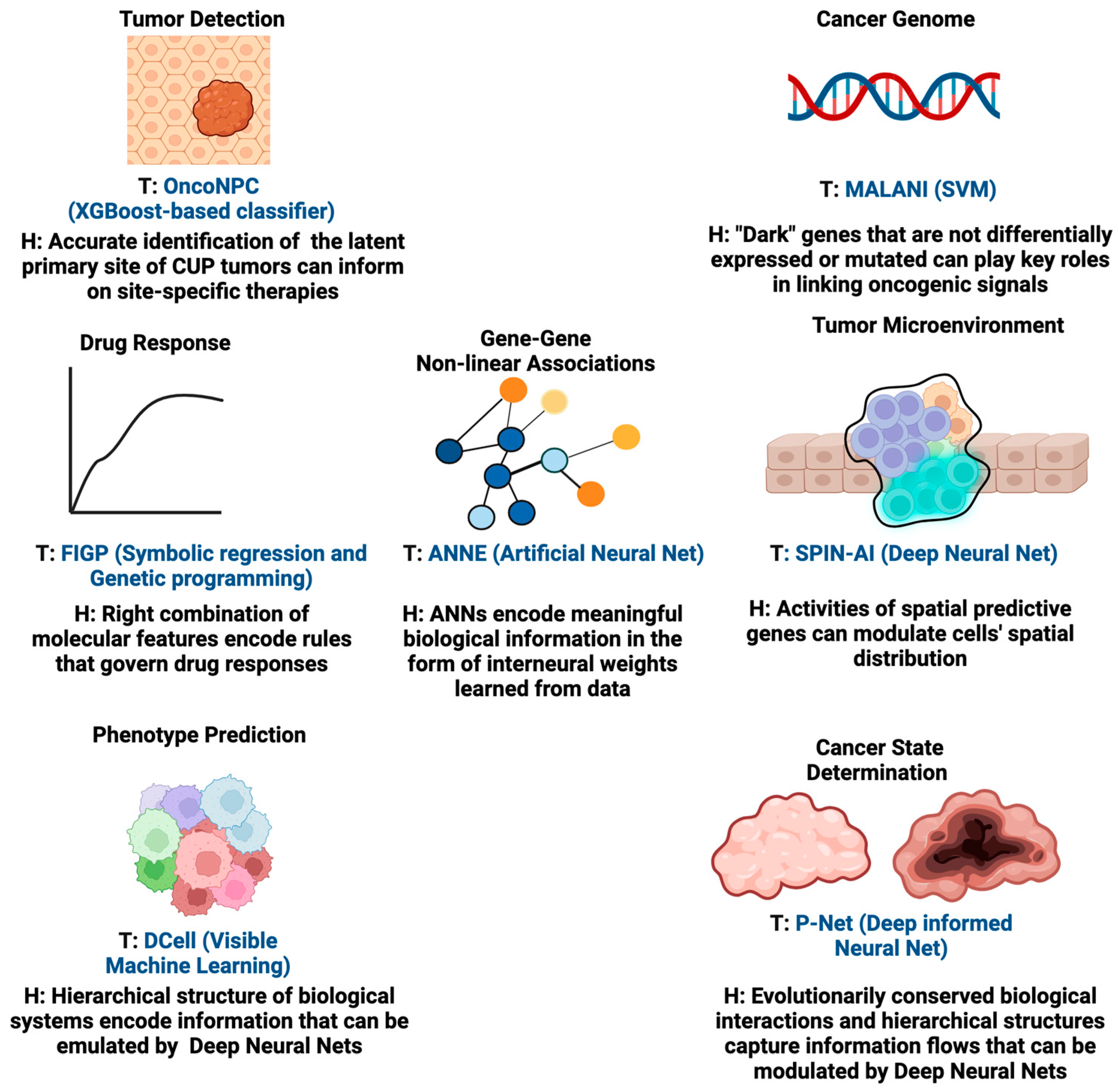 Understanding How Cancer Develops