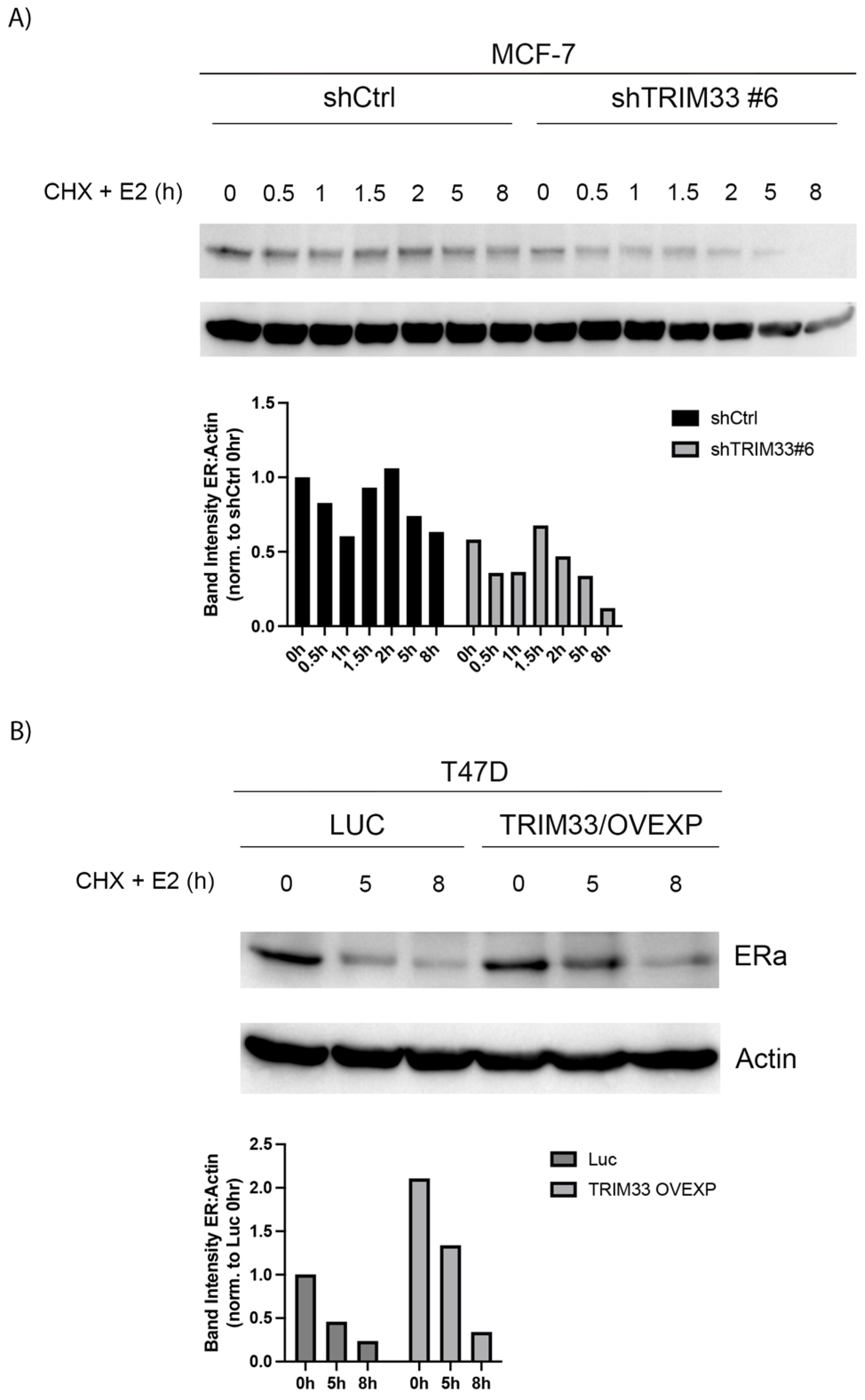 Cancers 16 00845 g004