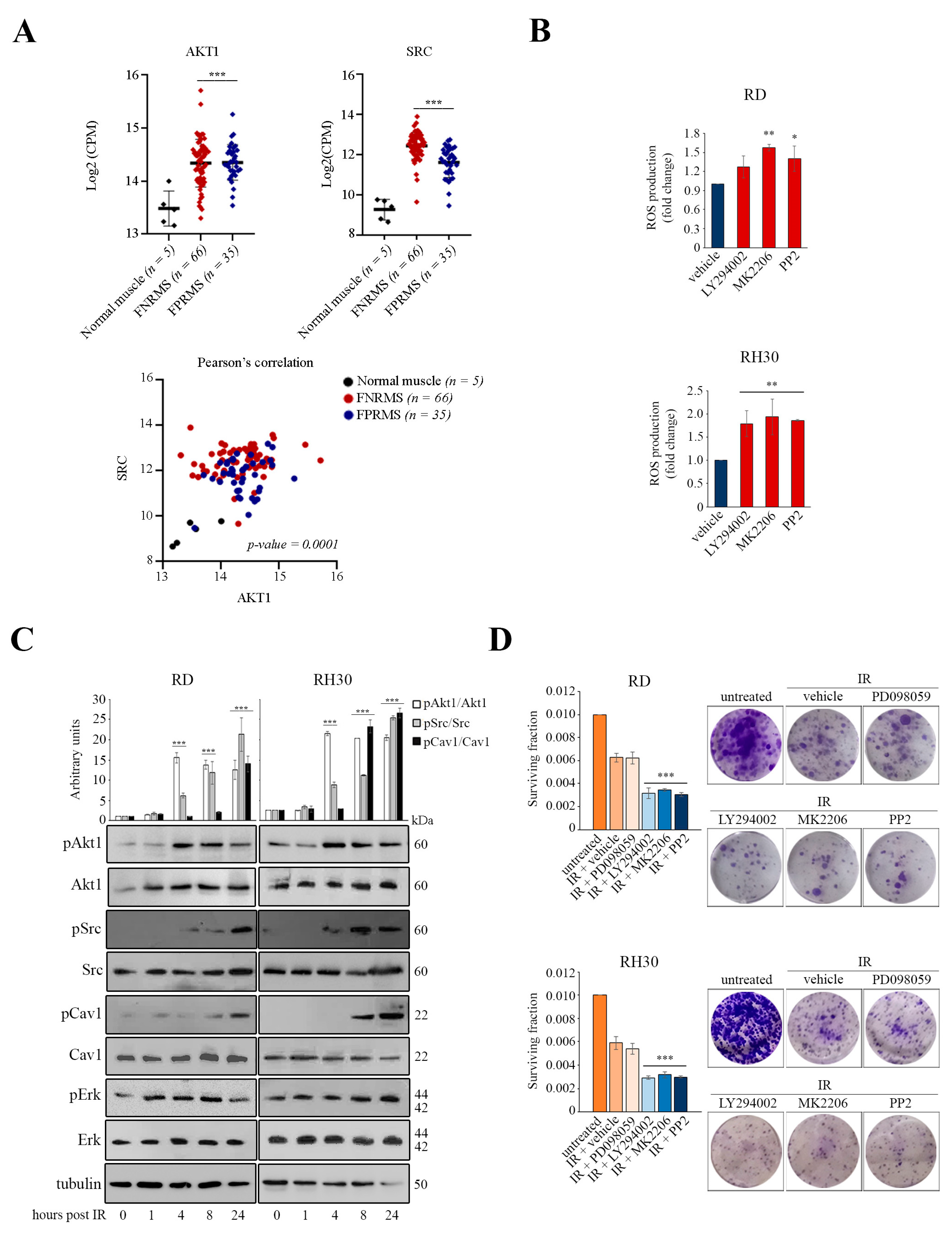 Cancers 16 00853 g001 Cancers 16 00853 g001