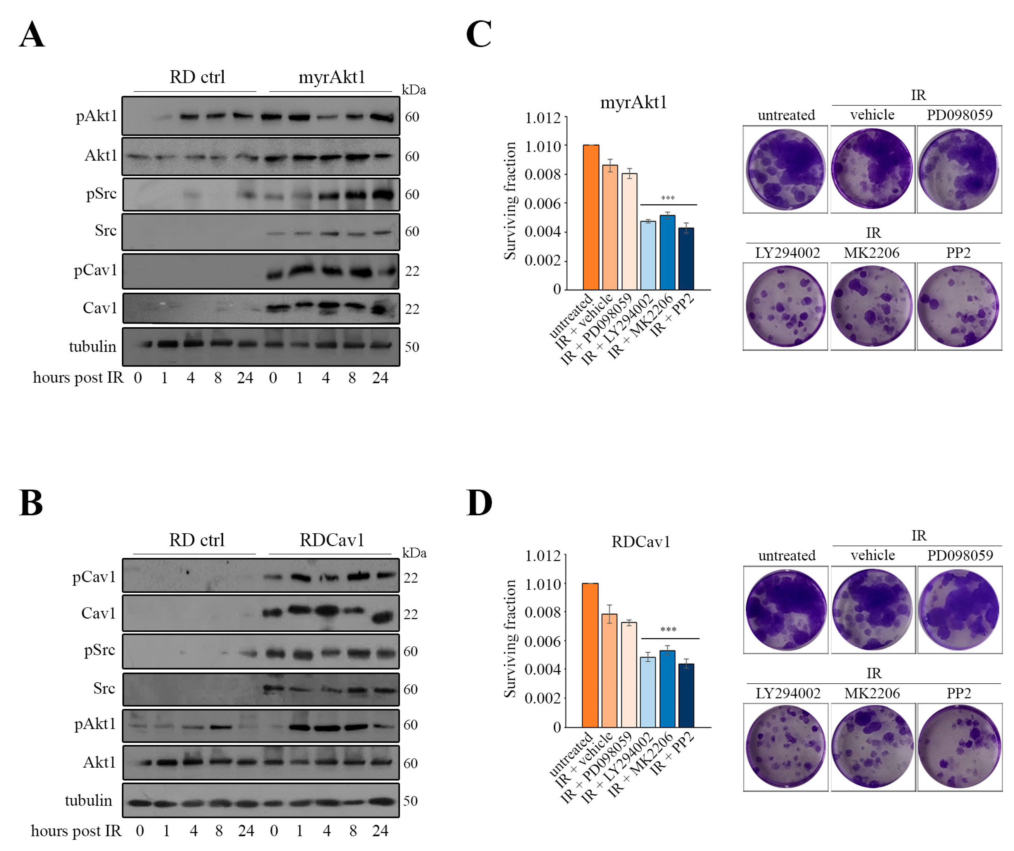 Cancers 16 00853 g003 Cancers 16 00853 g003