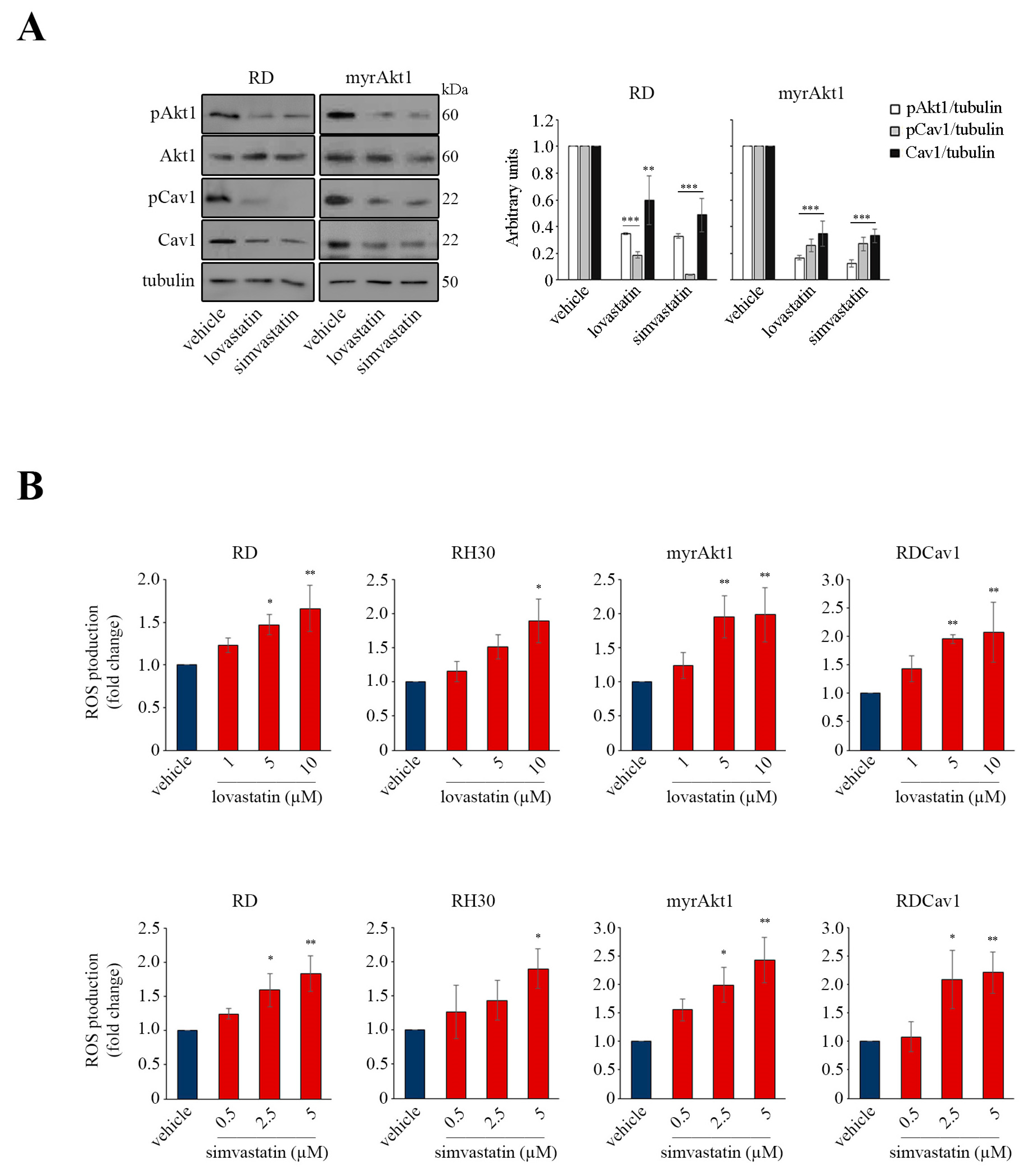 Cancers 16 00853 g004 Cancers 16 00853 g004