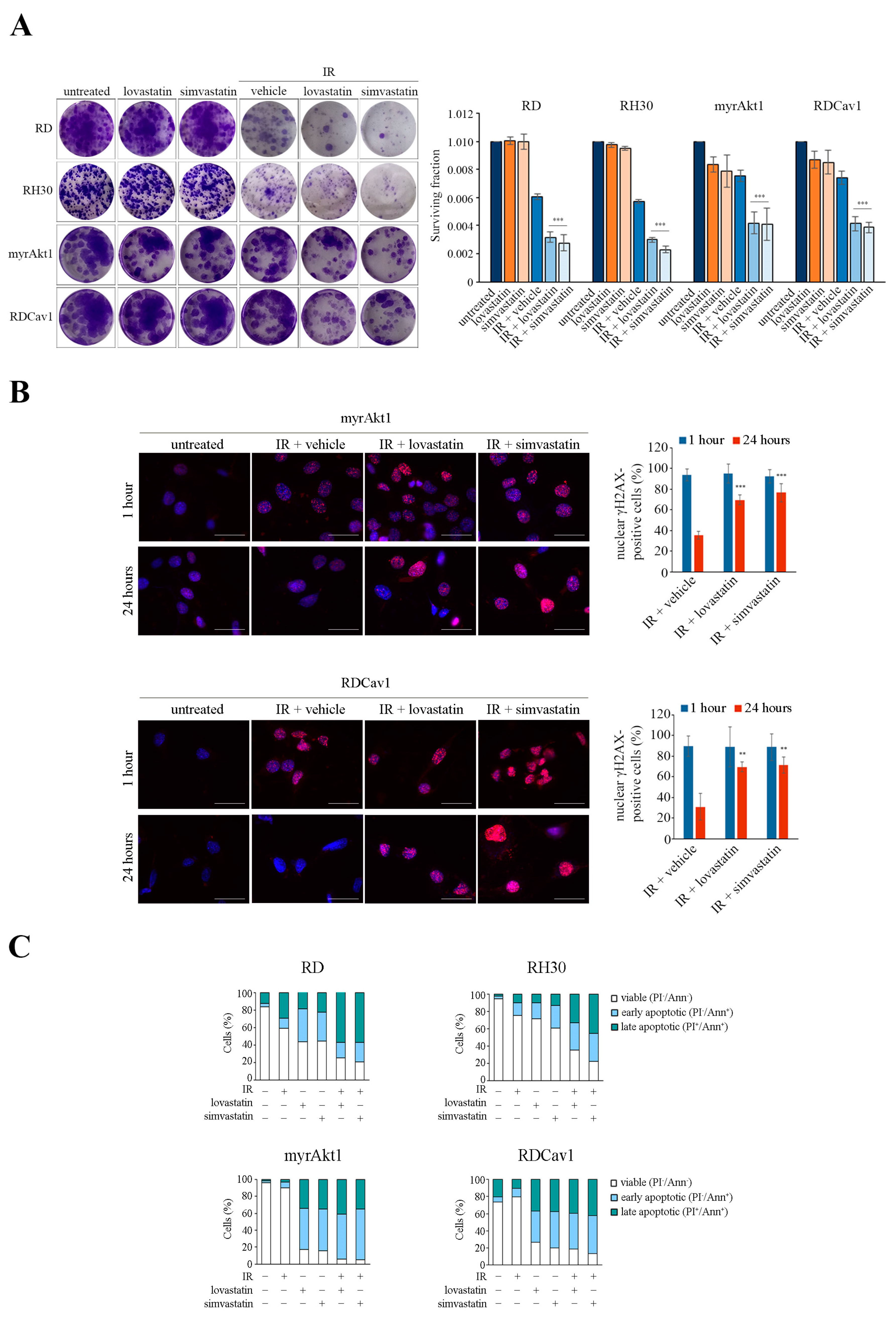 Cancers 16 00853 g005 Cancers 16 00853 g005