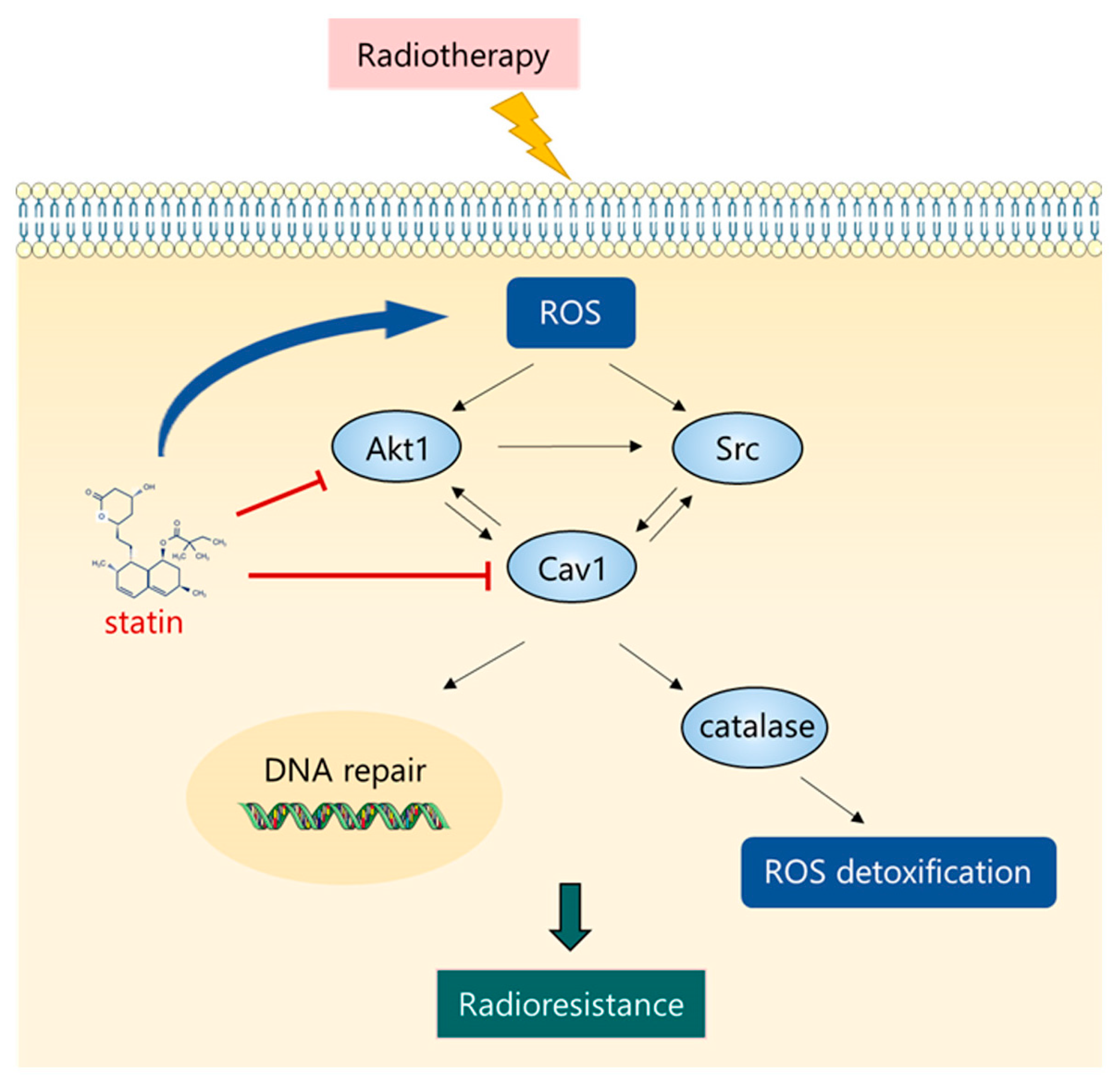 Cancers 16 00853 g007 Cancers 16 00853 g007