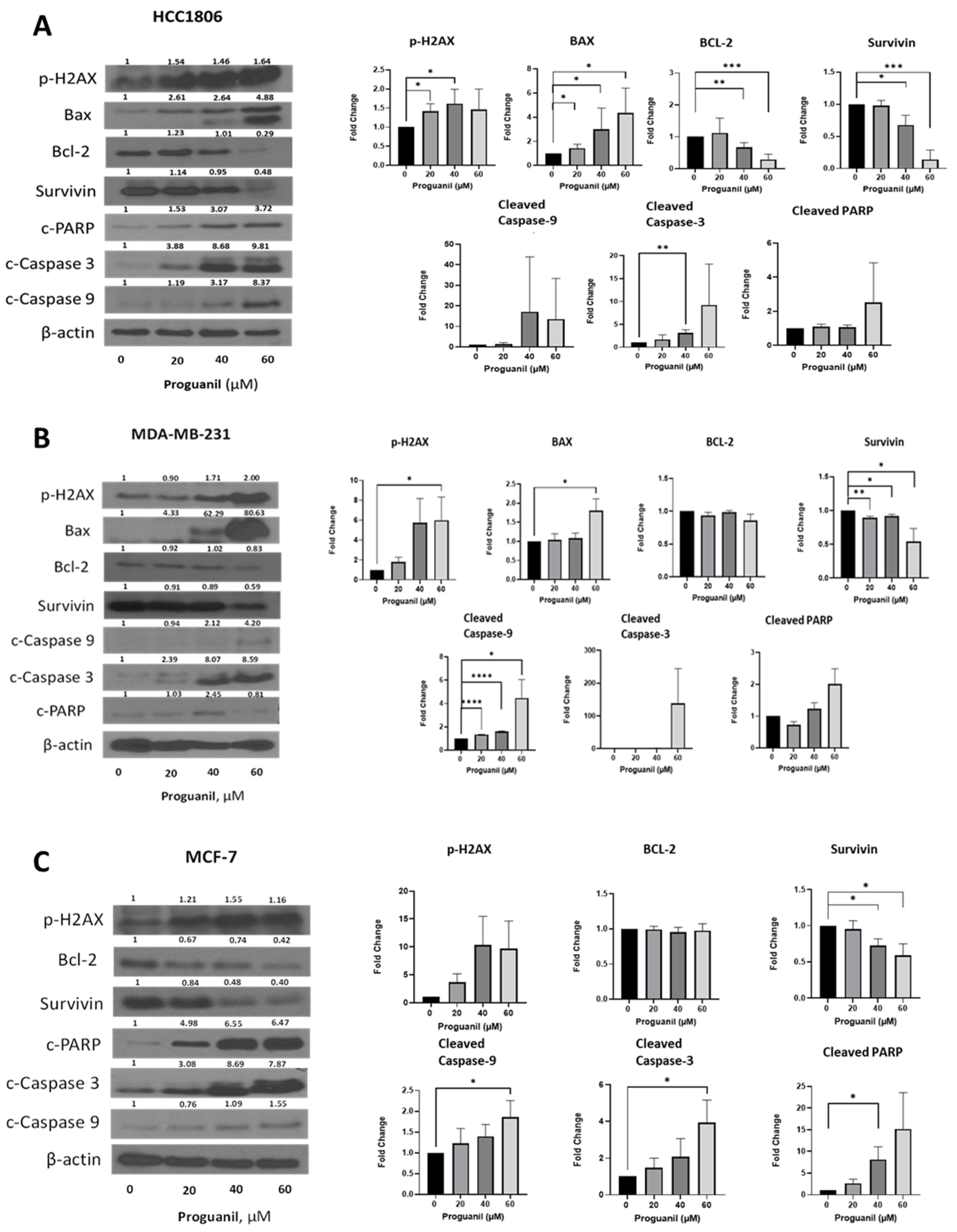 Cancers 16 00872 g007 Cancers 16 00872 g007
