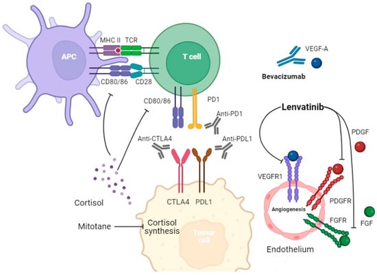 Cancers | Free Full-Text | The Efficacy and Safety of Immune Checkpoint ...