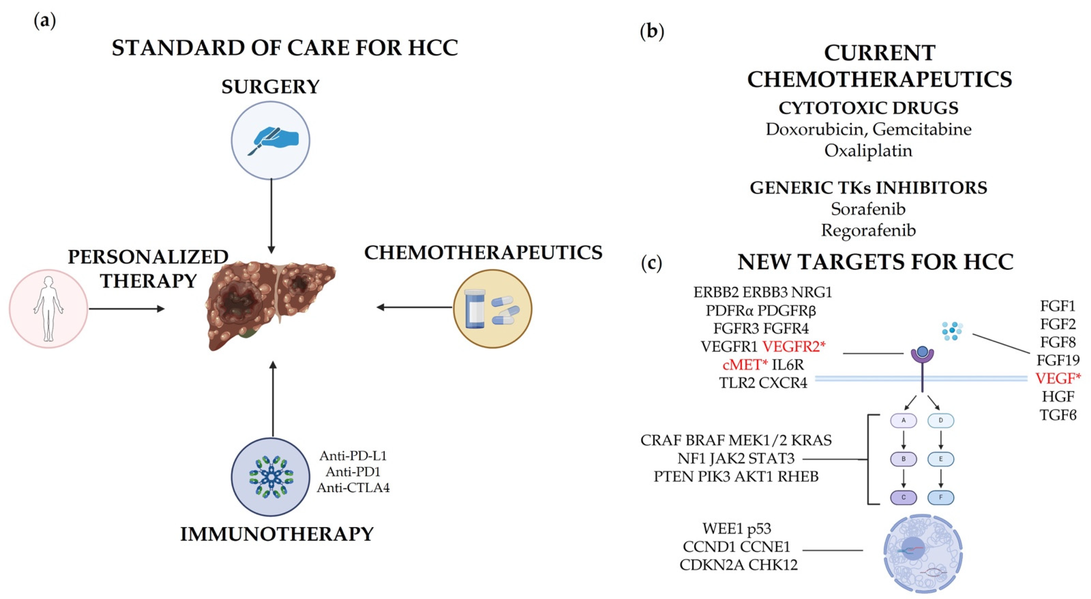 Cancers | Free Full-Text | Hepatocellular Carcinoma: Old and 