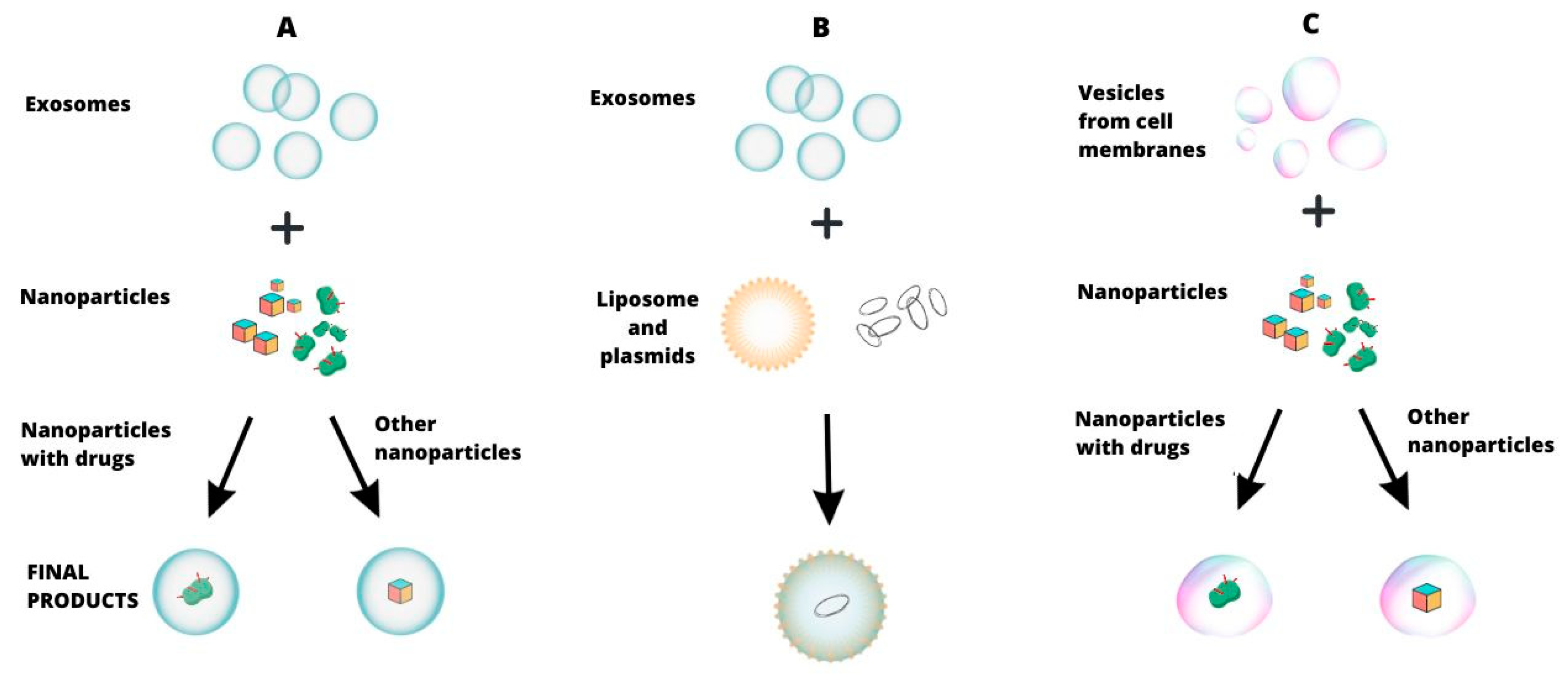 Cancers 16 00923 g002