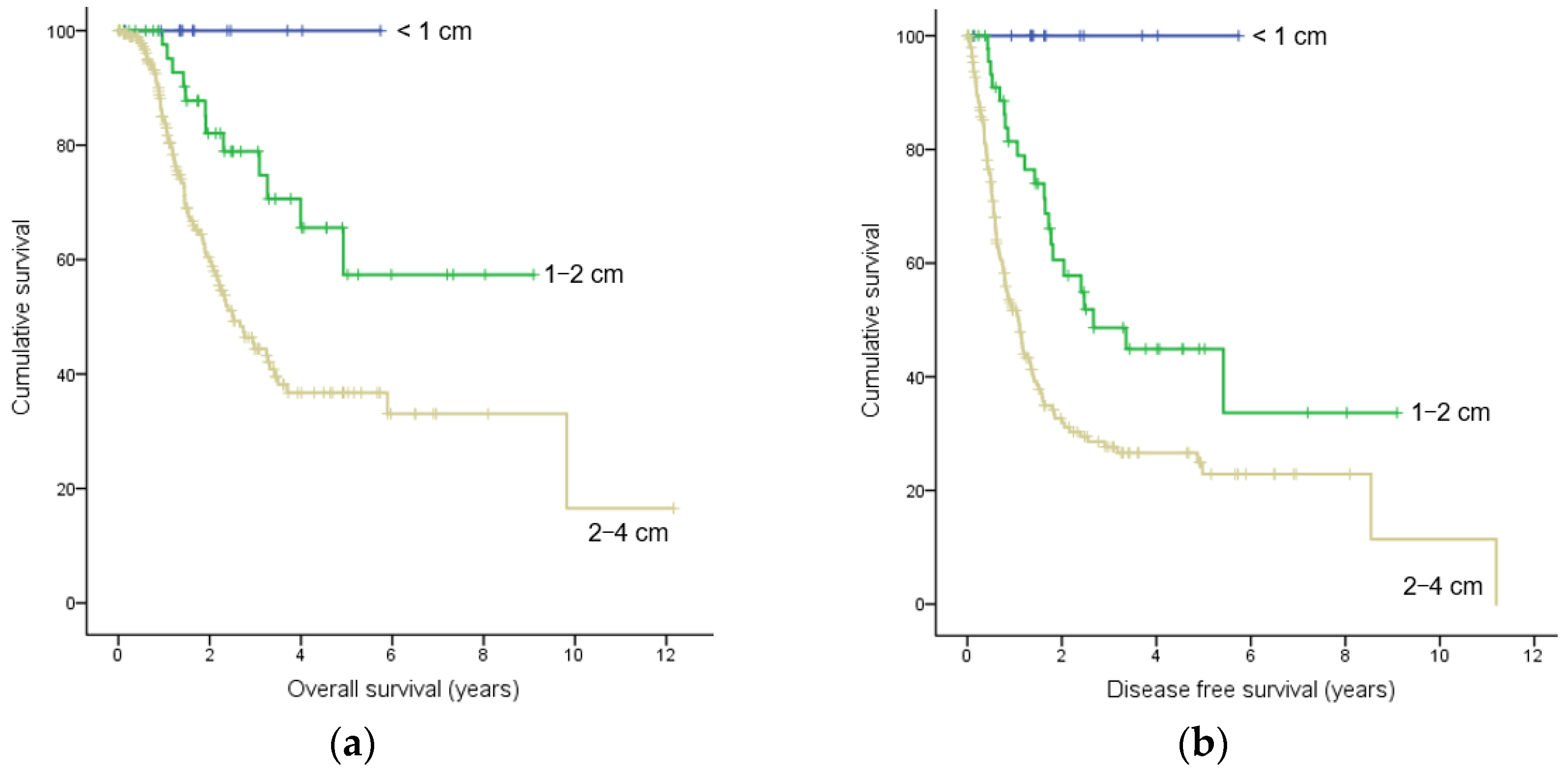 Cancers 16 00944 g002