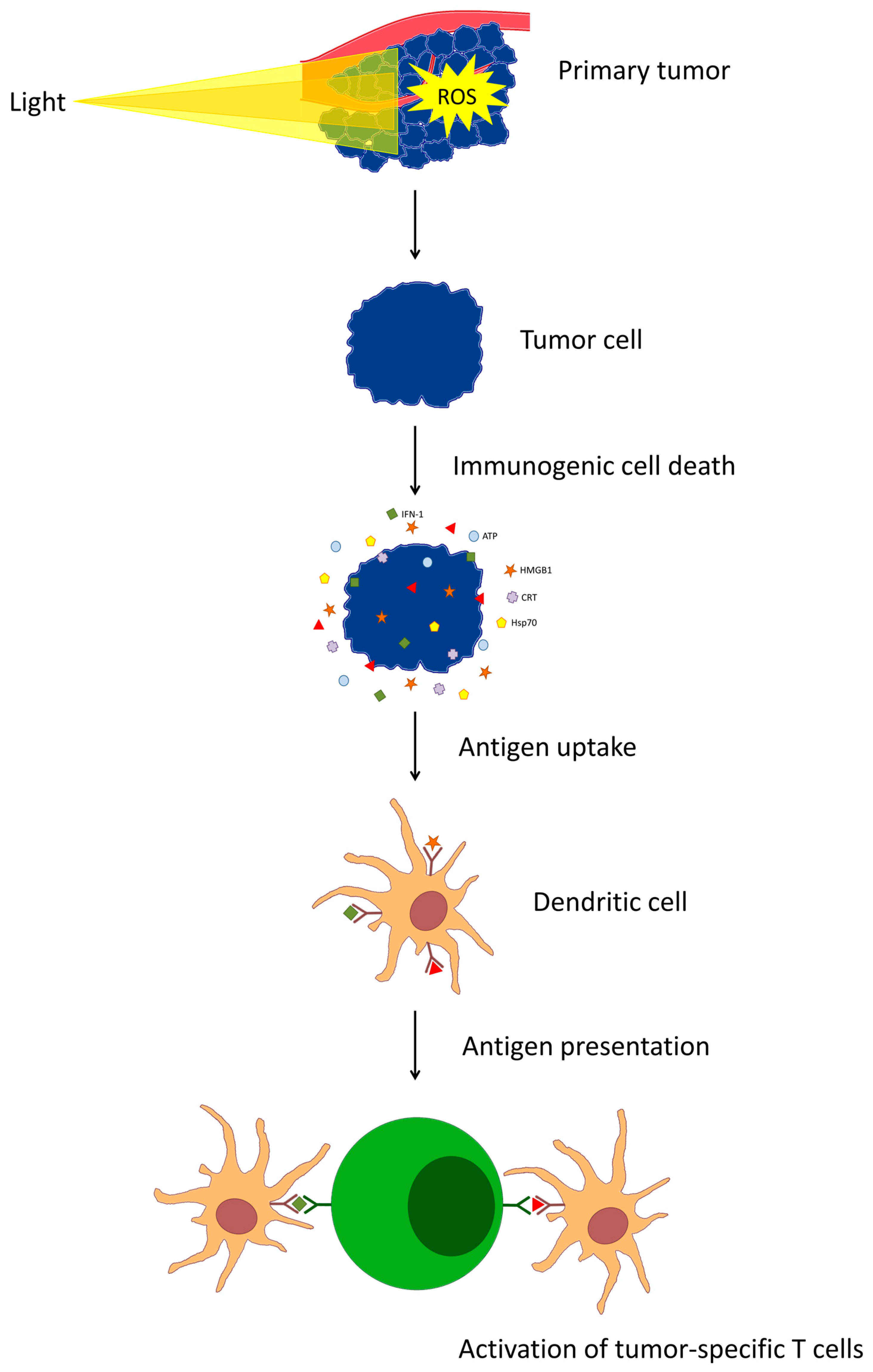 Cancers 16 00967 g002