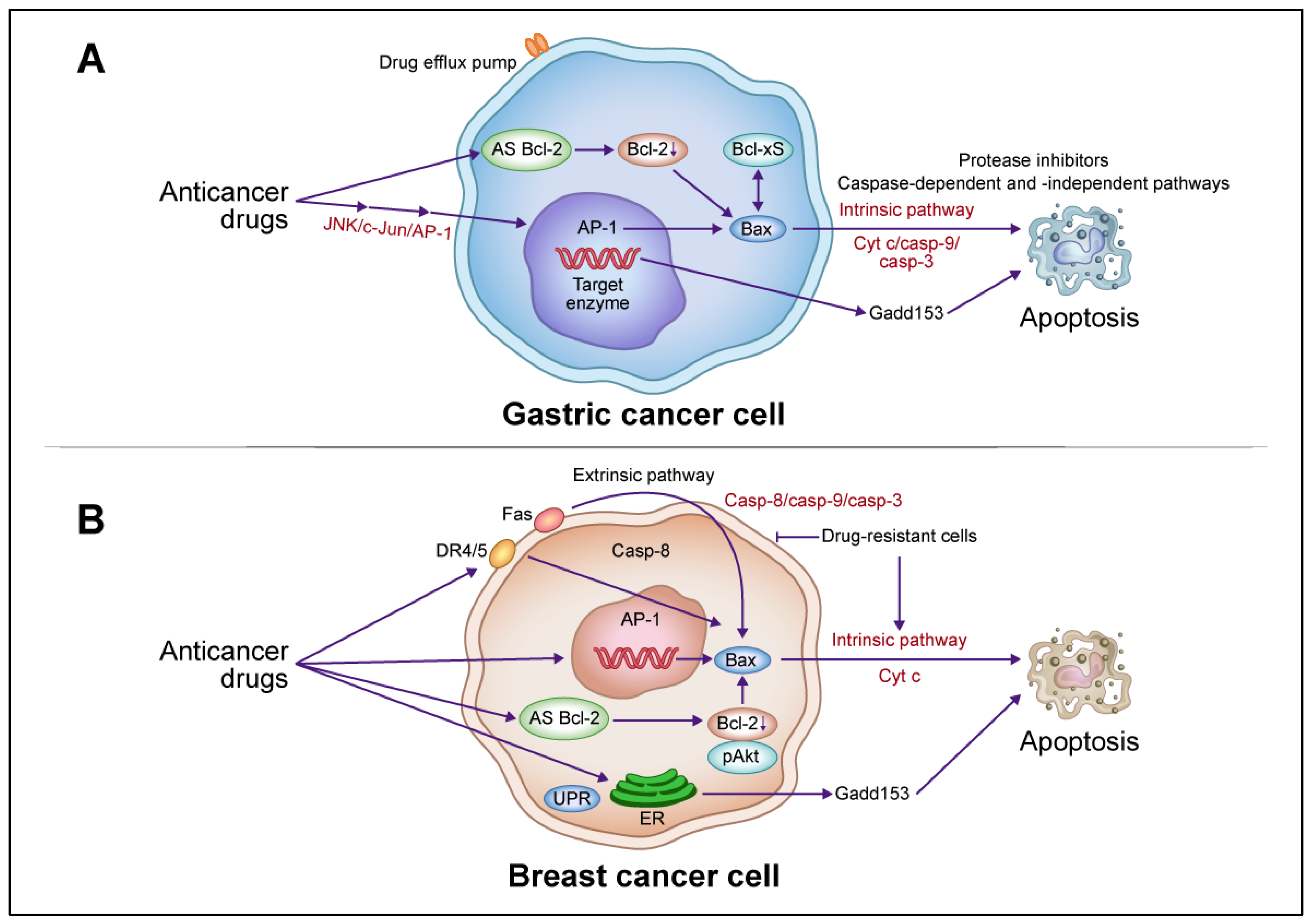 Cancers 16 00984 g002 Cancers 16 00984 g002