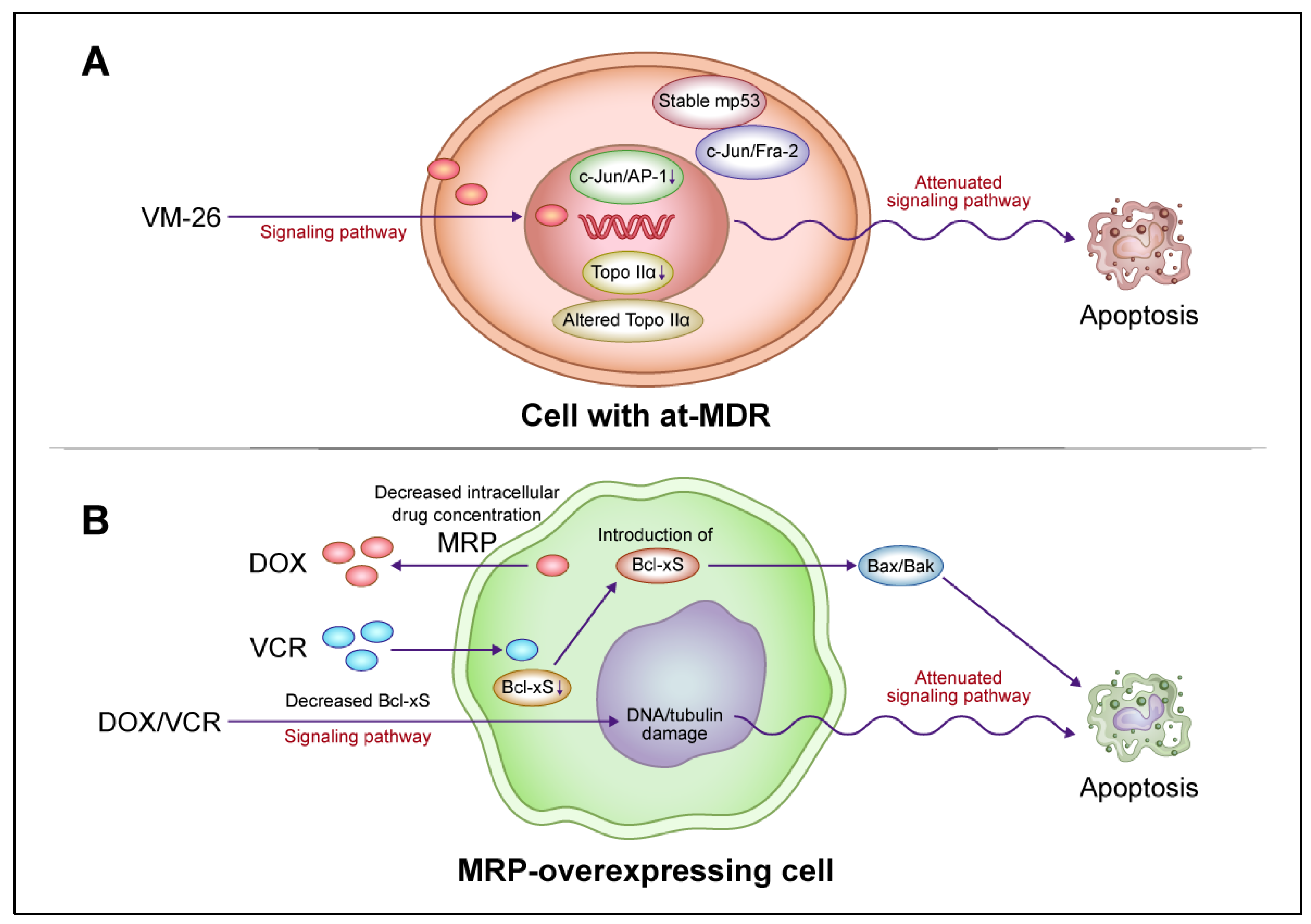 Cancers 16 00984 g004 Cancers 16 00984 g004