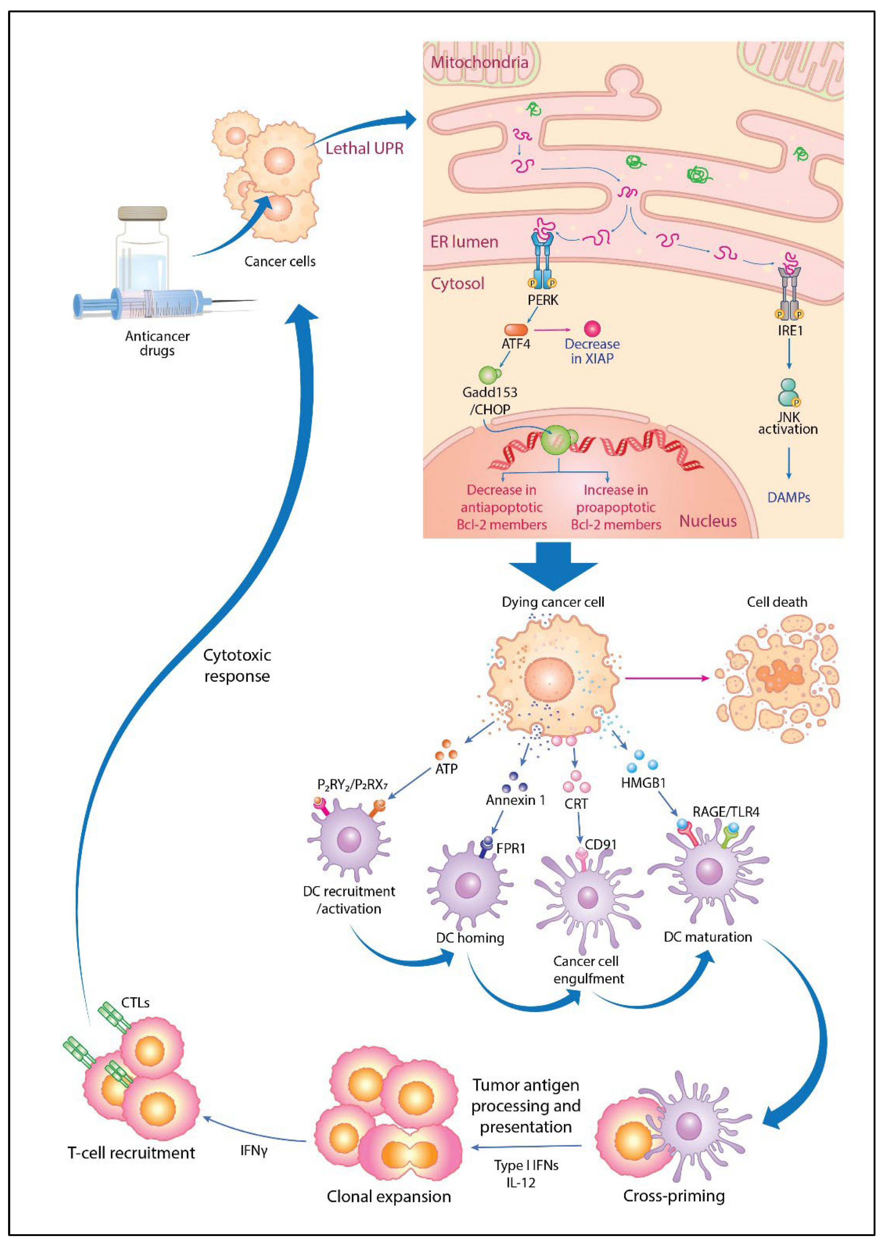 Cancers 16 00984 g005 Cancers 16 00984 g005
