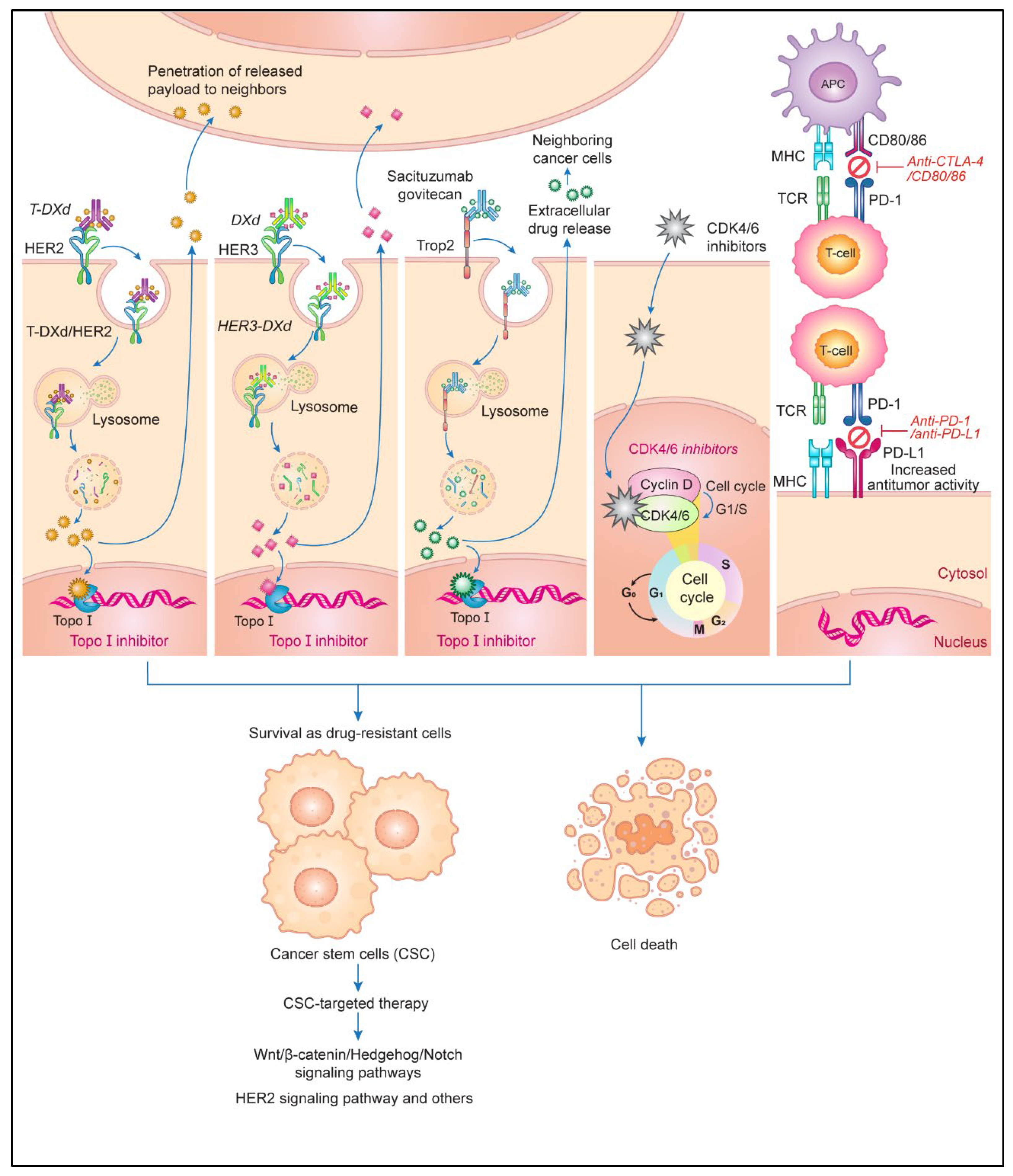 Cancers 16 00984 g006 Cancers 16 00984 g006