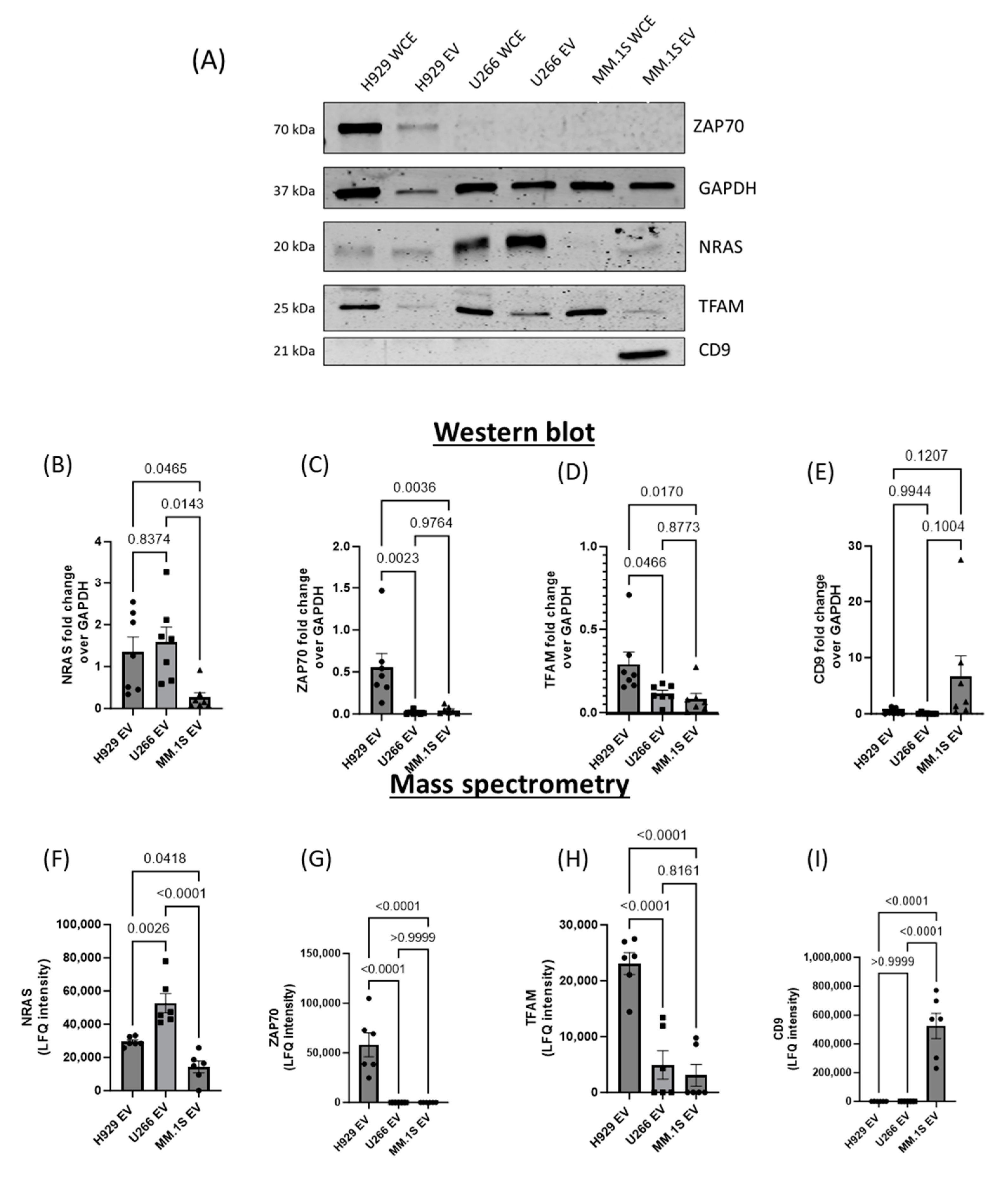 Cancers 16 01011 g007