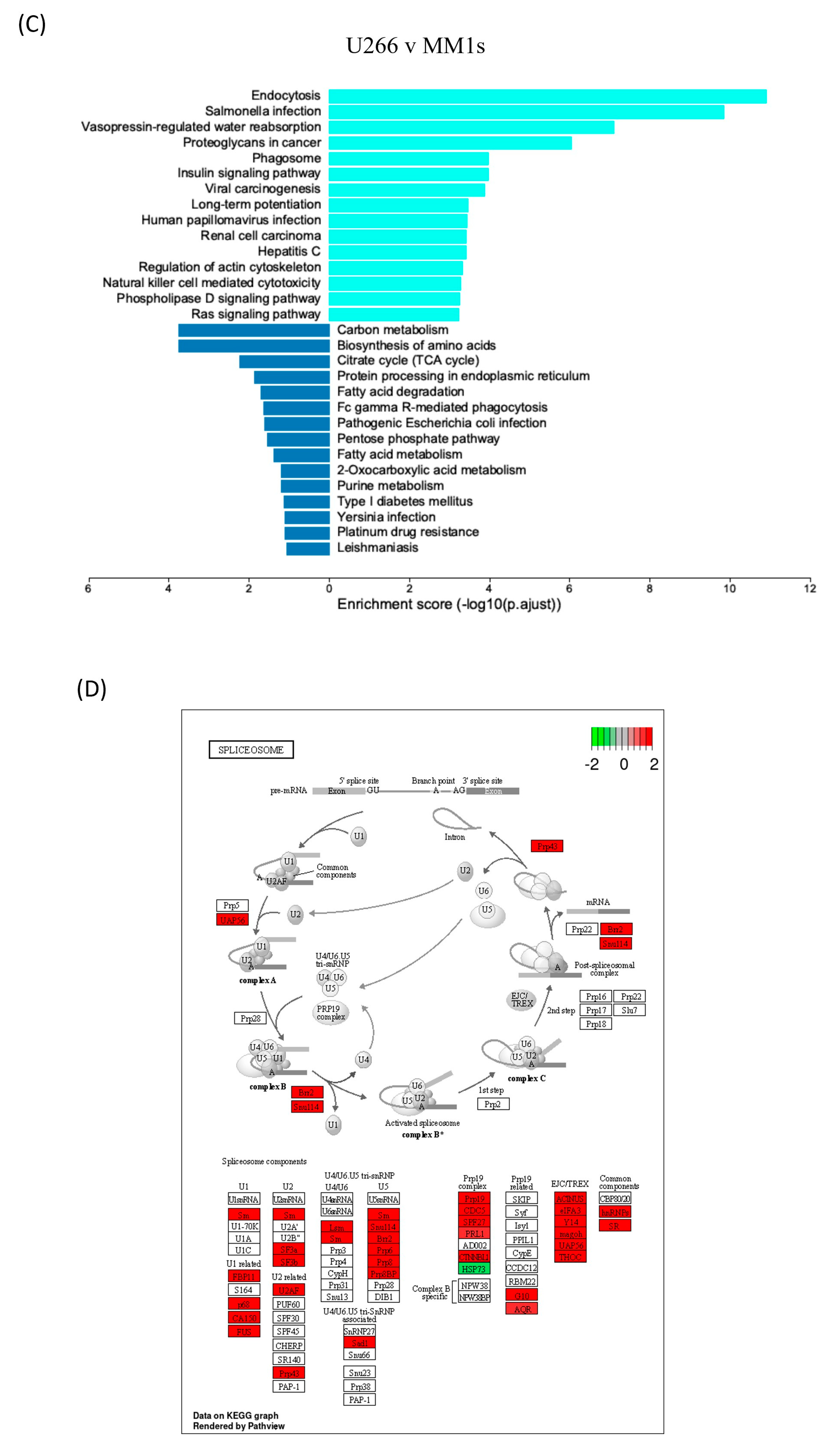 Cancers 16 01011 g008b