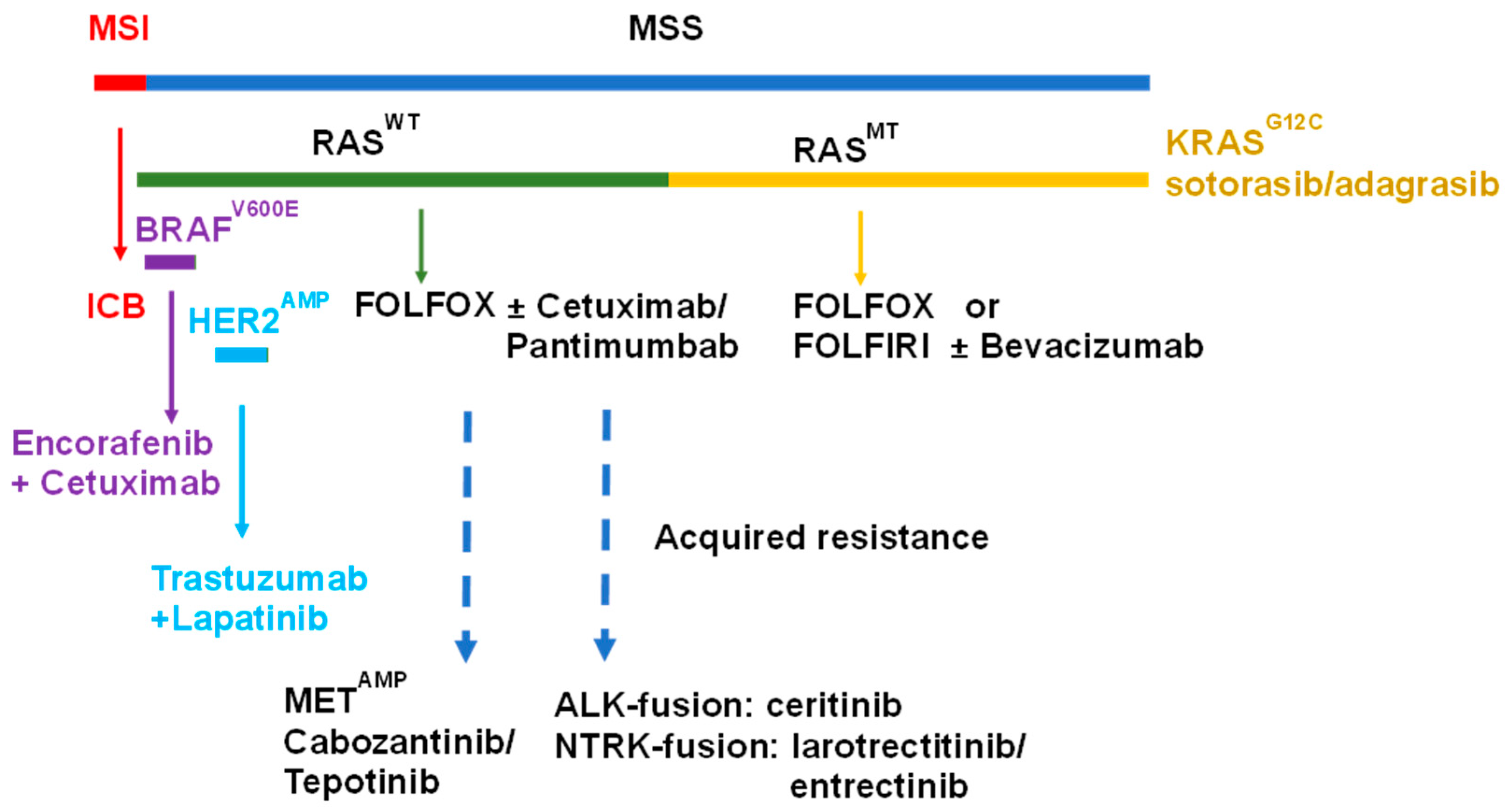 Cancers | Free Full-Text | Recent Advances in Therapeutic 