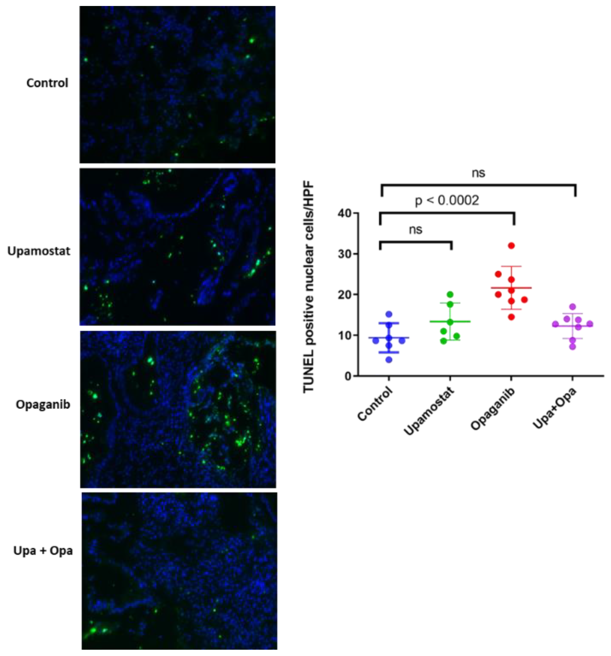 Cancers 16 01050 g005 Cancers 16 01050 g005