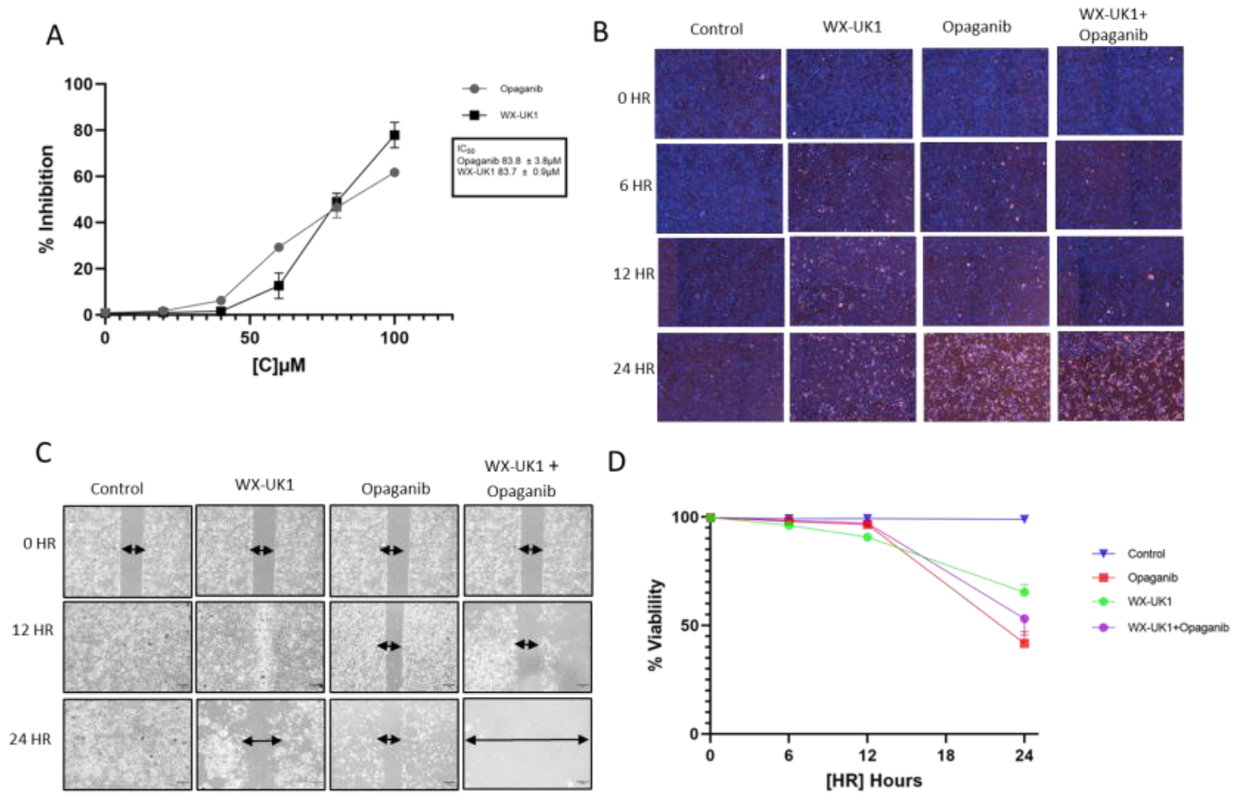 Cancers 16 01050 g006 Cancers 16 01050 g006
